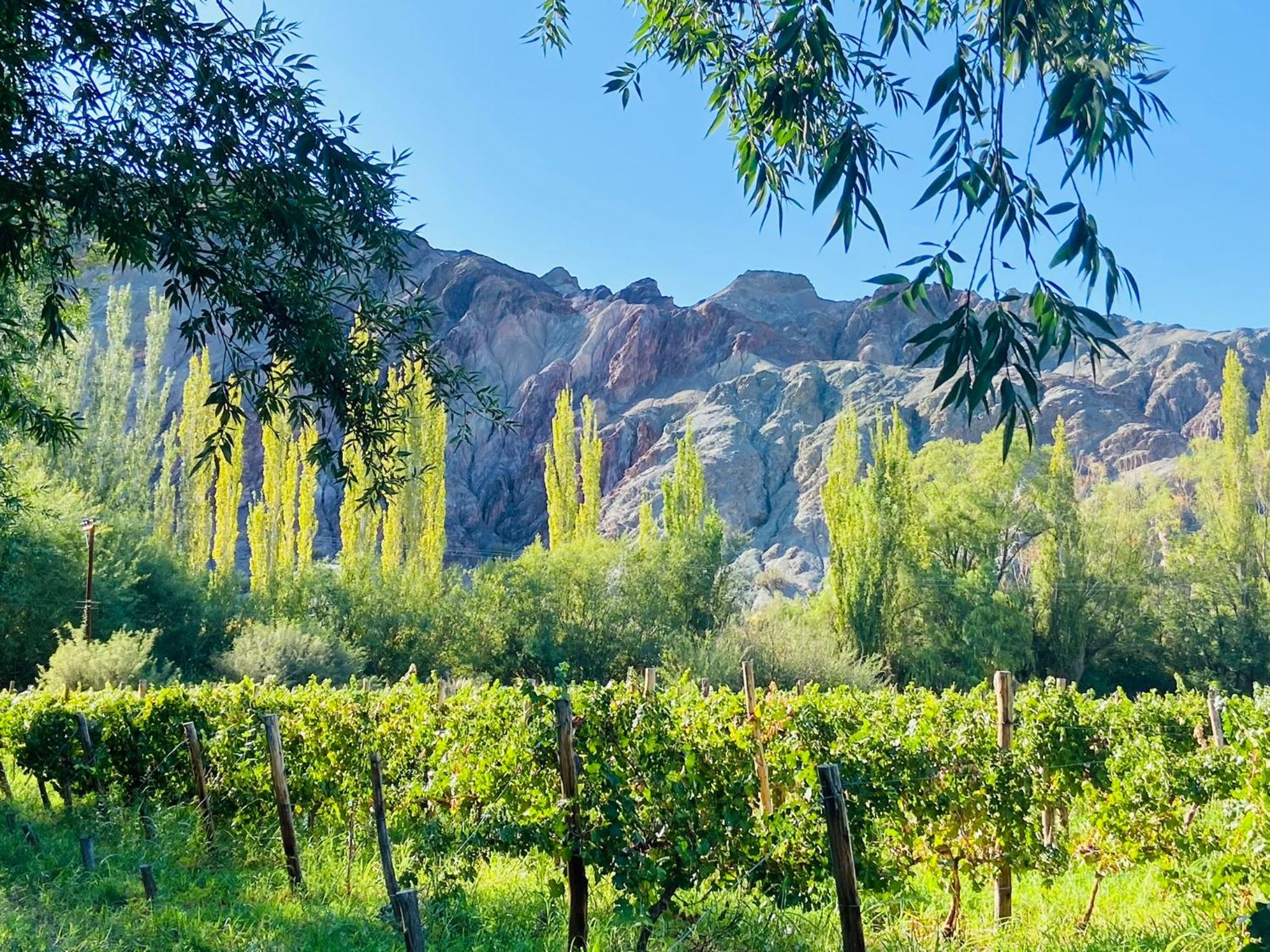 FINCA TIERRA CALMA Casa 1