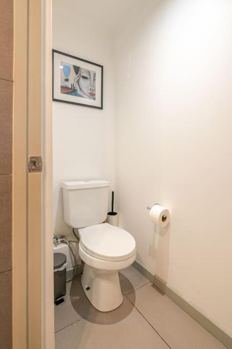 Scl Suite
