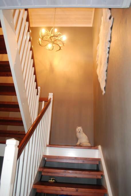 Photo 36