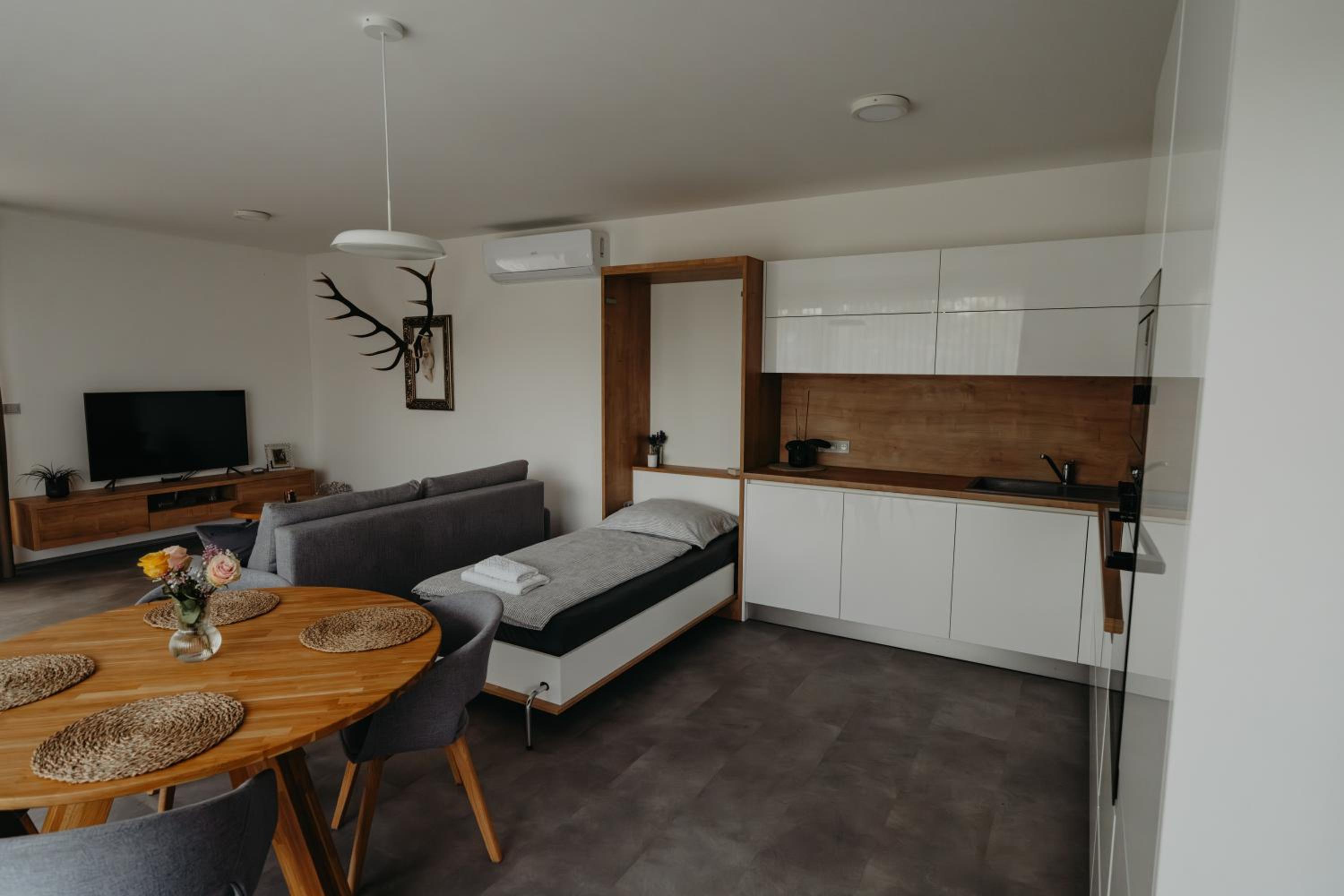 Apartmán Ústí