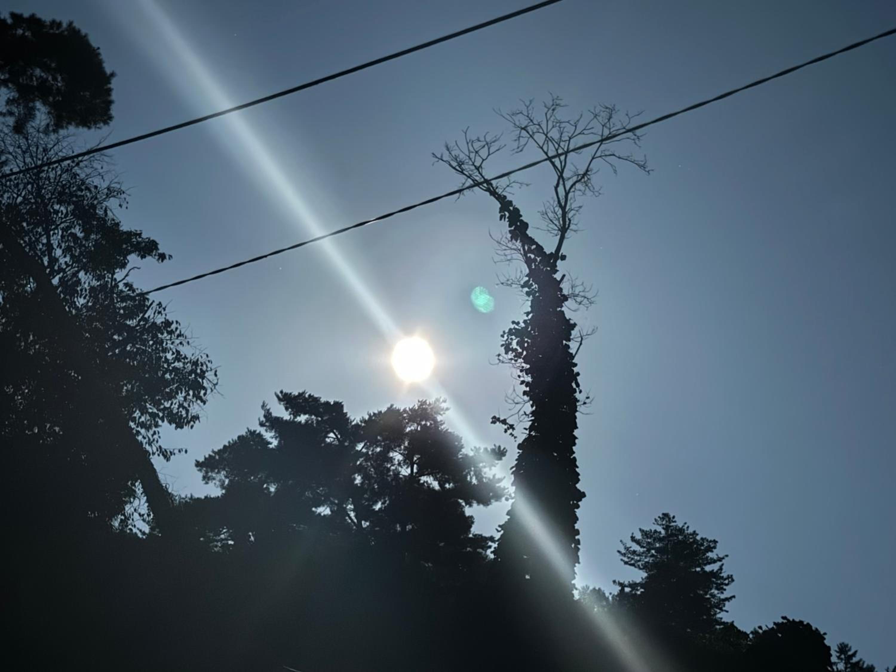 Photo 46