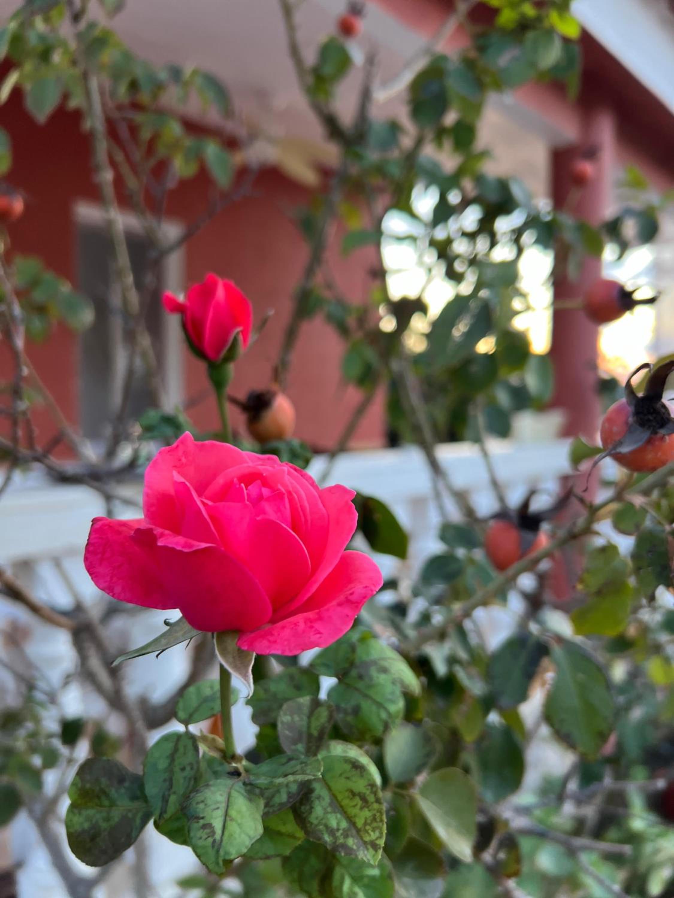 Finca El Escondite