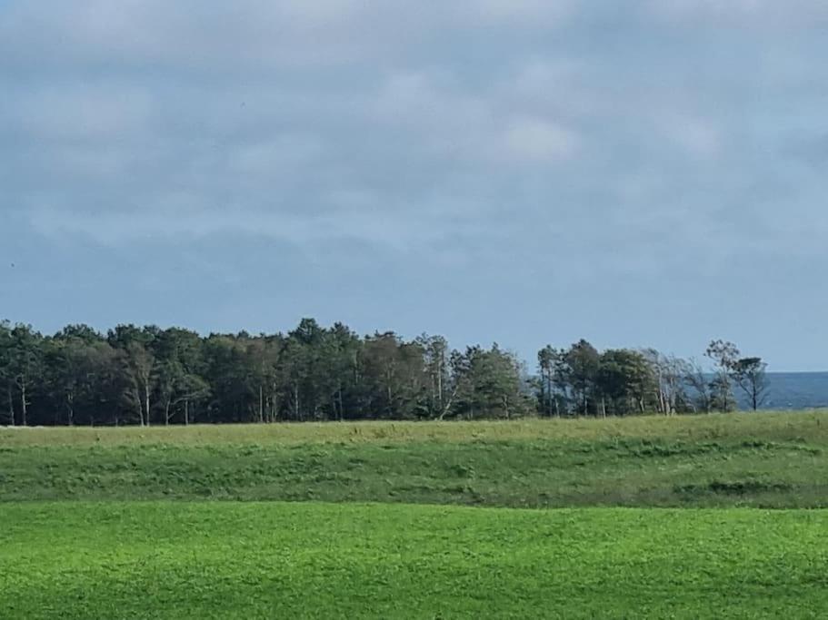Feriehus - Lista Nesheim view 5