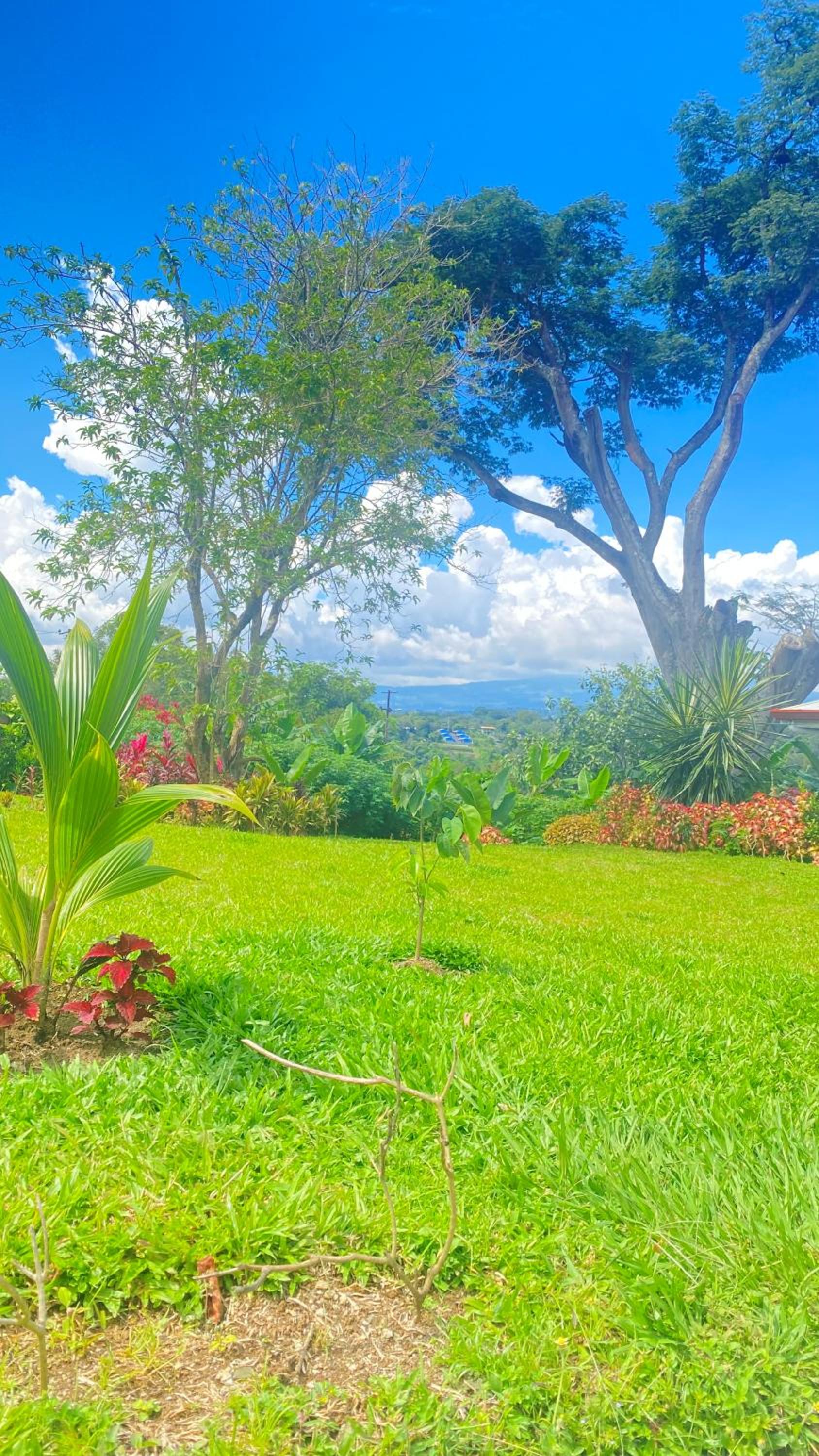 Hotel Apartamento Bondad