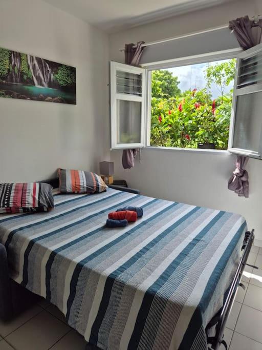 Gîte Ti jit la view 3