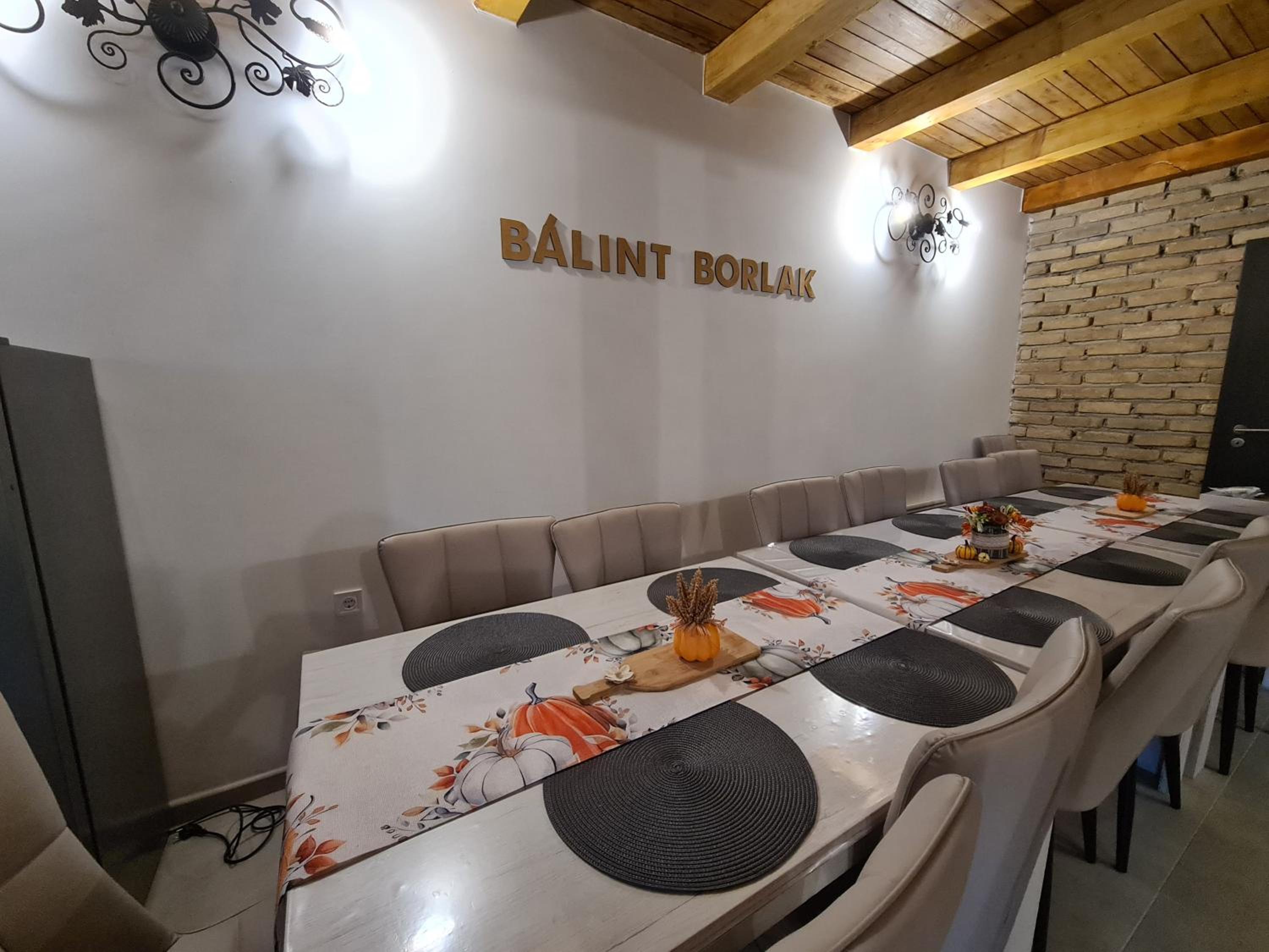 Bálint Borlak