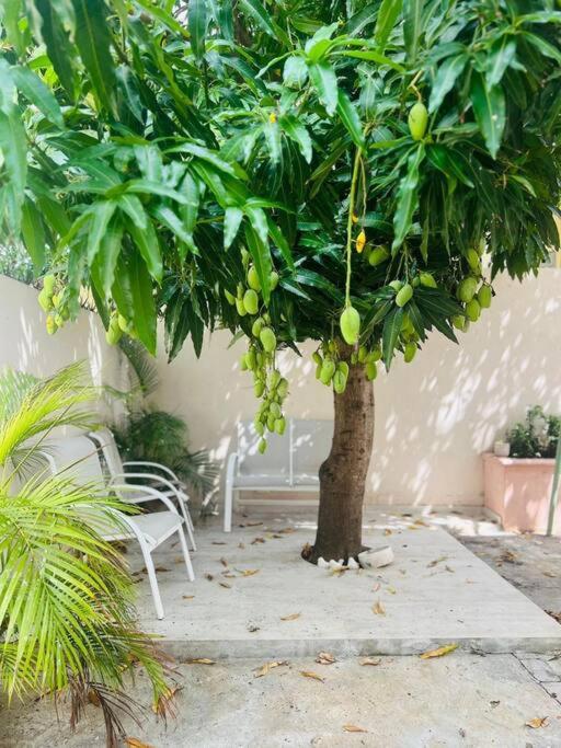 Bella Casa cerca de Multiplaza - Residencial Las Orquídeas