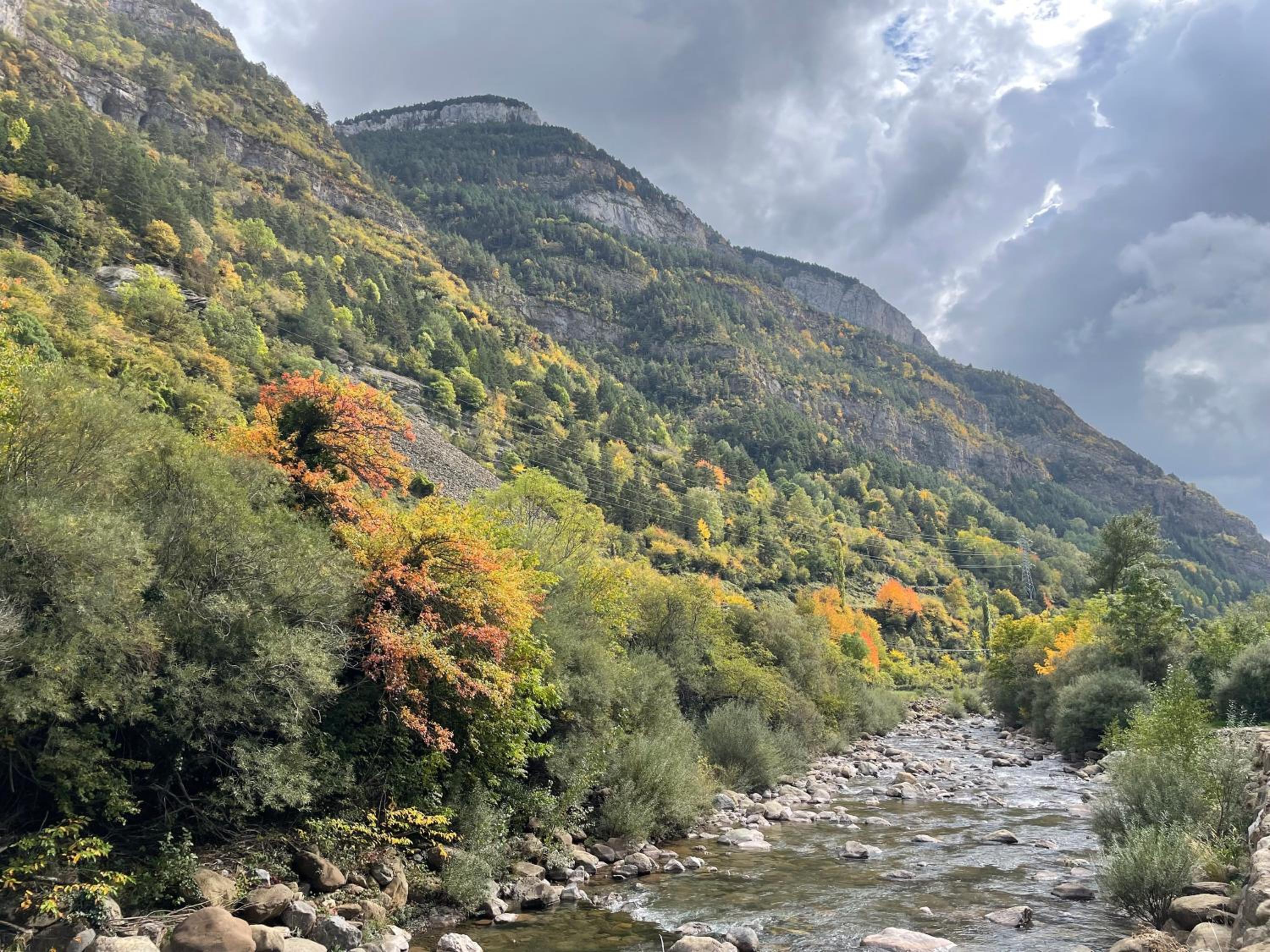 CALMFRANC ático abuhardillado con vistas al río y la montaña Avistamiento de ciervos en Canfranc Pueblo