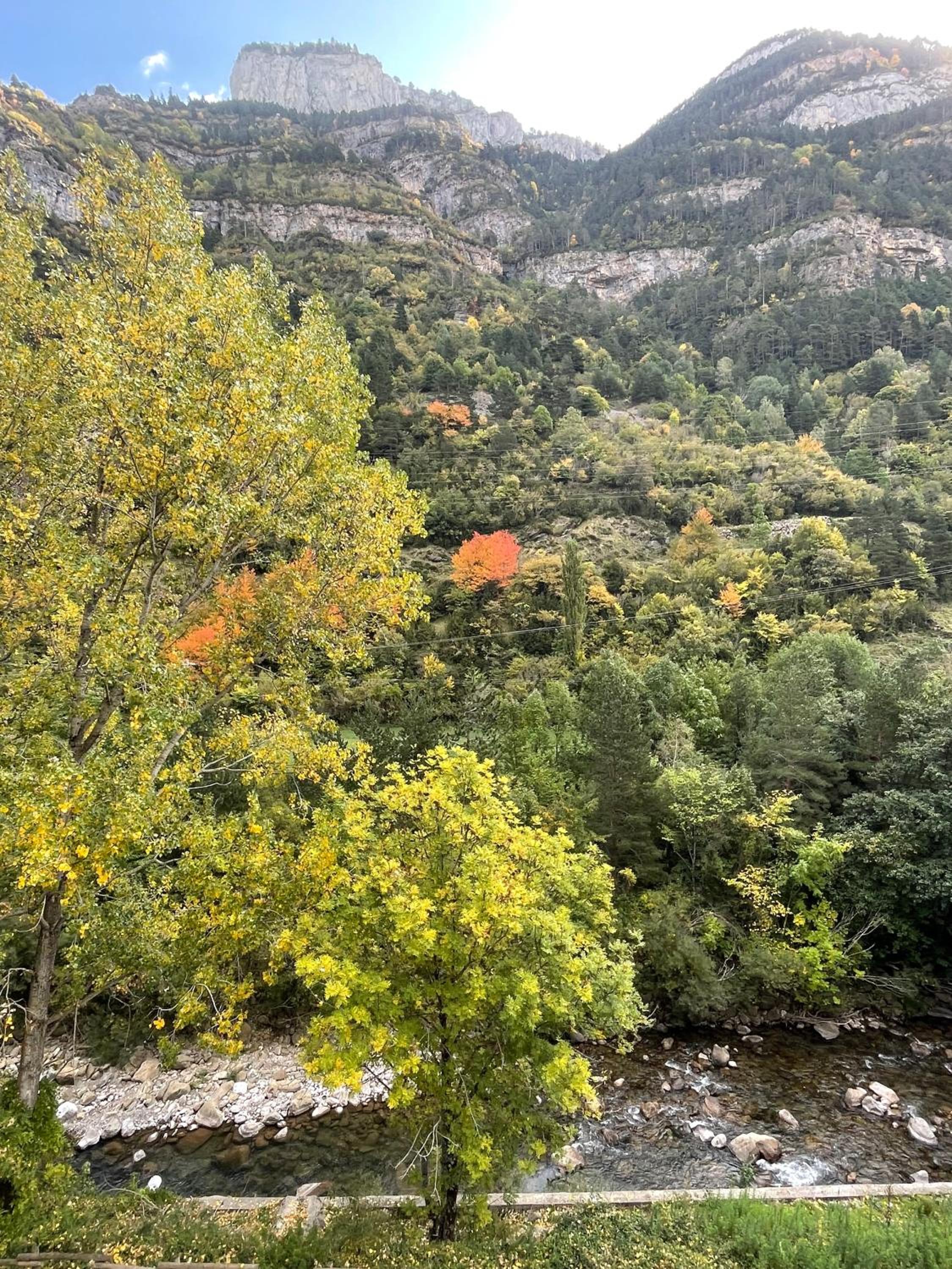 CALMFRANC ático abuhardillado con vistas al río y la montaña Avistamiento de ciervos en Canfranc Pueblo