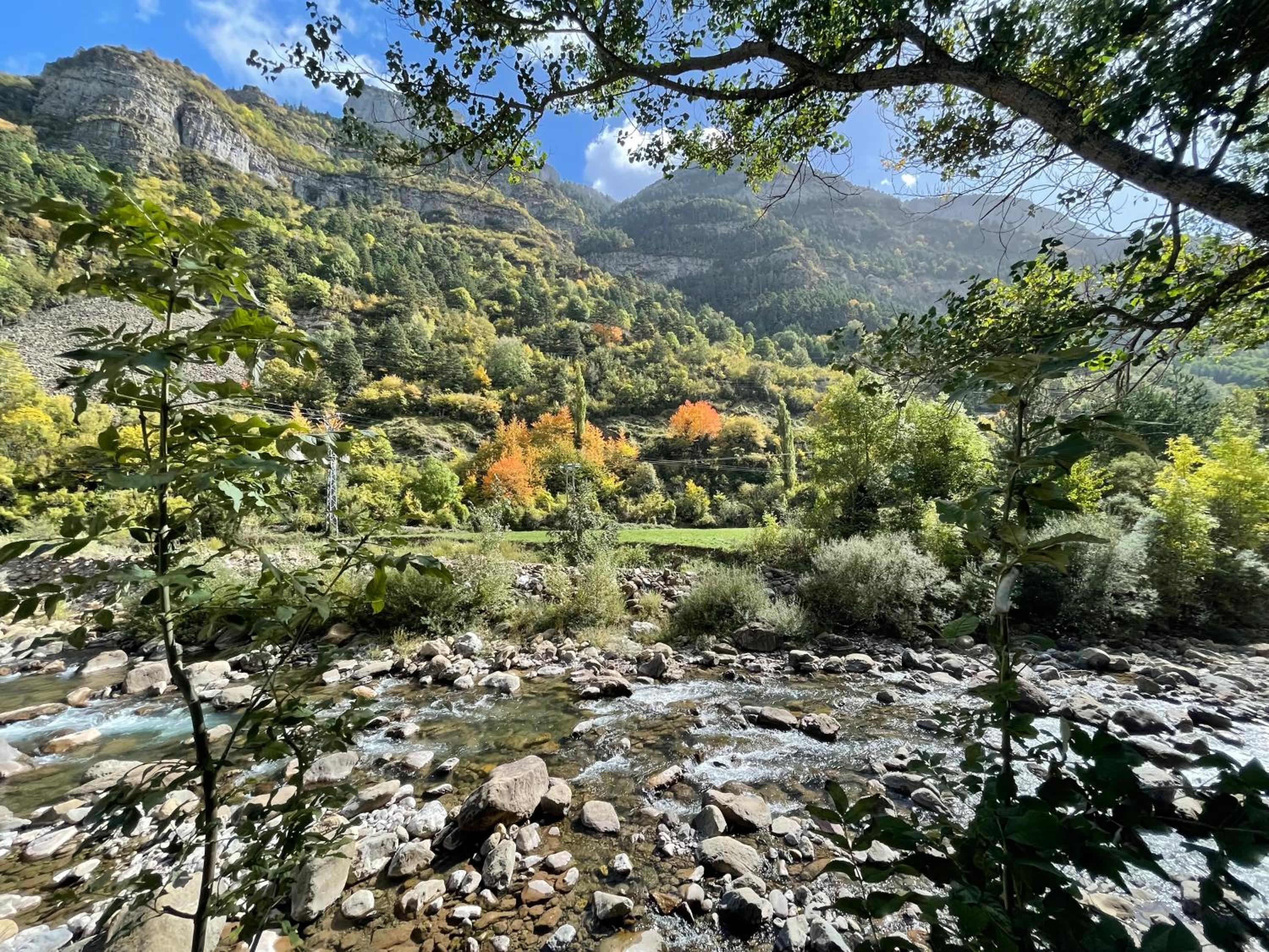 CALMFRANC ático abuhardillado con vistas al río y la montaña Avistamiento de ciervos en Canfranc Pueblo
