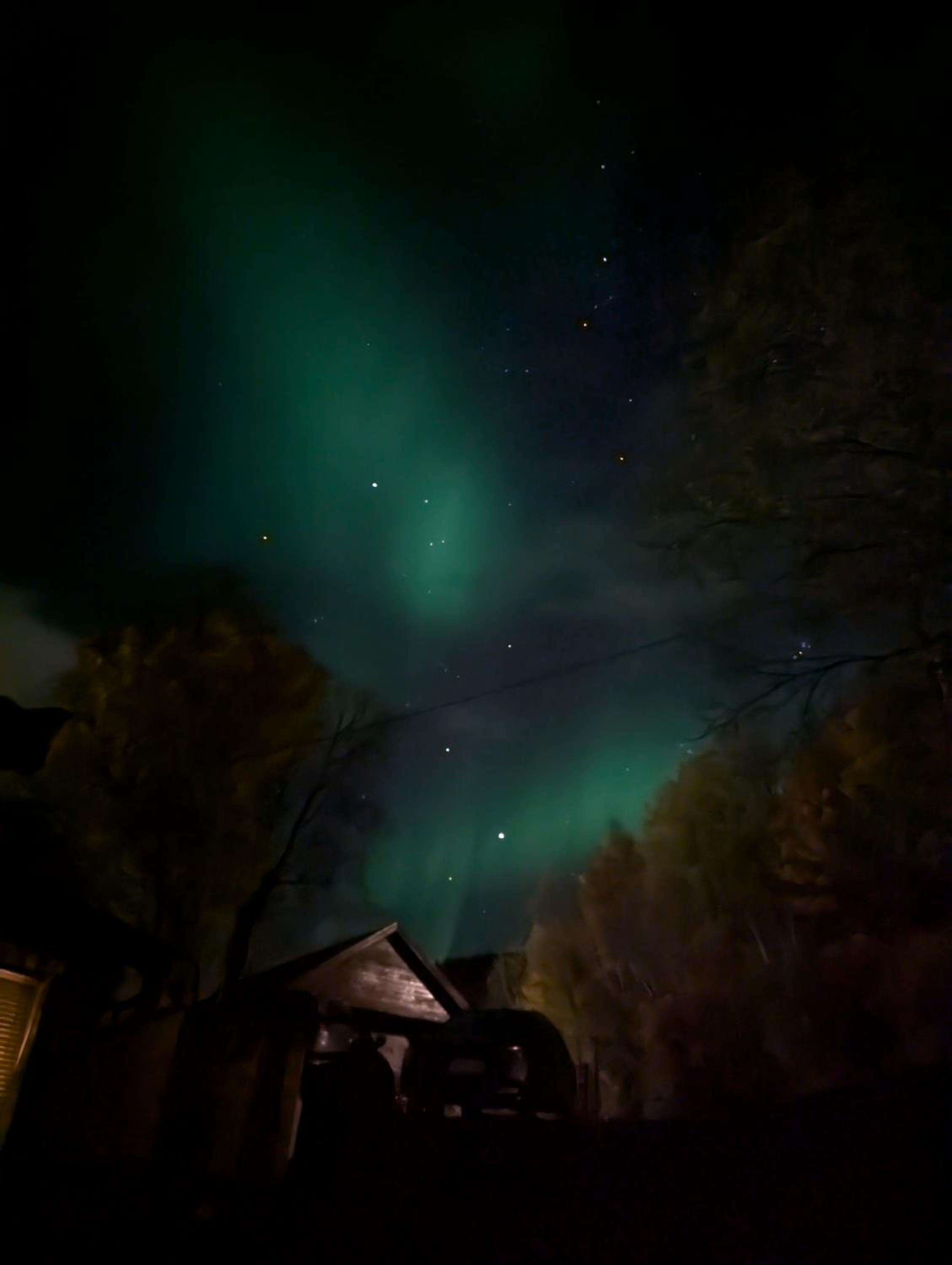 Senja - Charming cottage by the sea with terrace and fantastic view