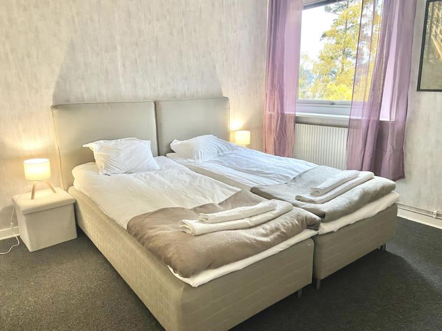 XL apartment with free parking view 4