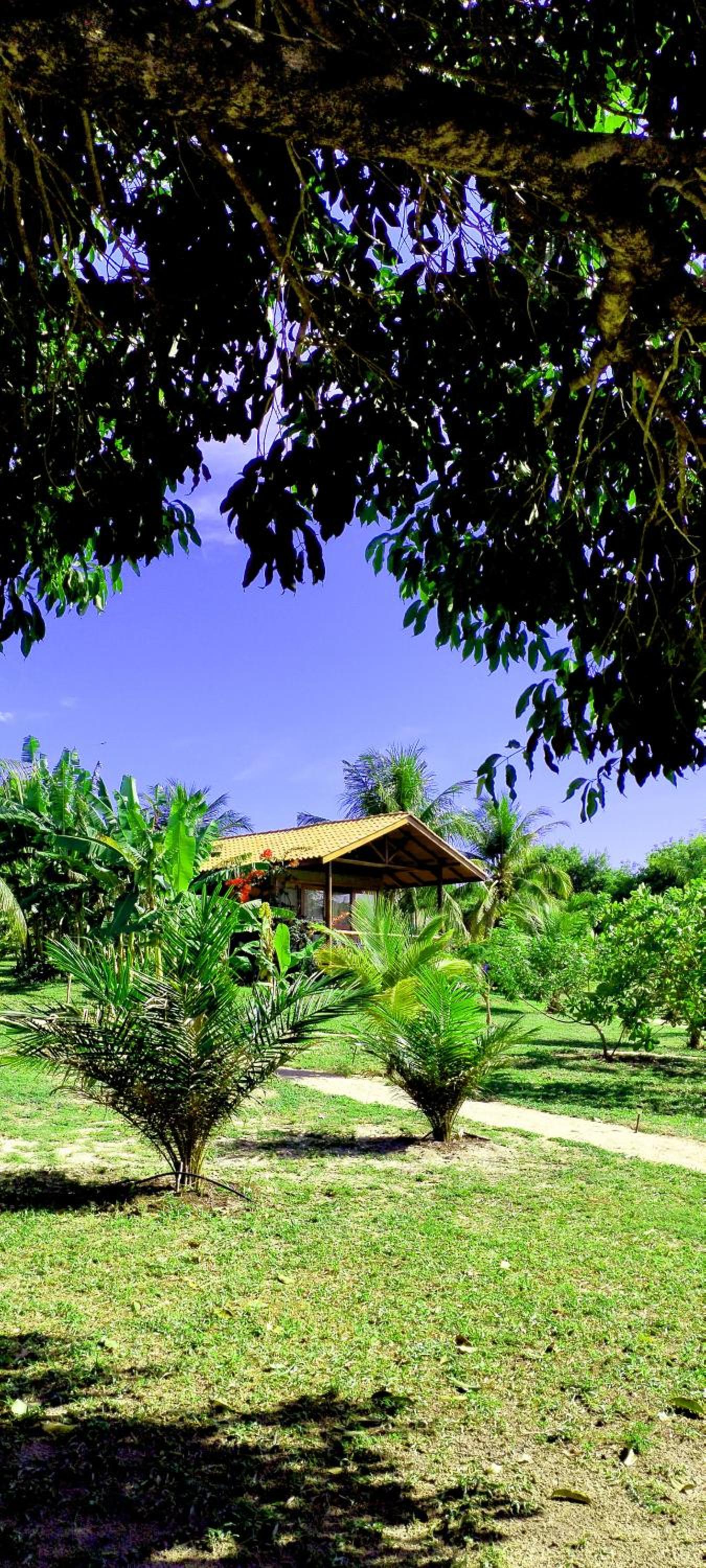 Bangalô Villa Angelim - Natureza e Conforto Barra do Cunhaú RN