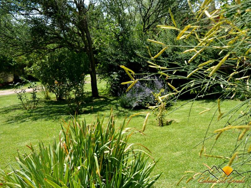 Cabañas Sol Dorado