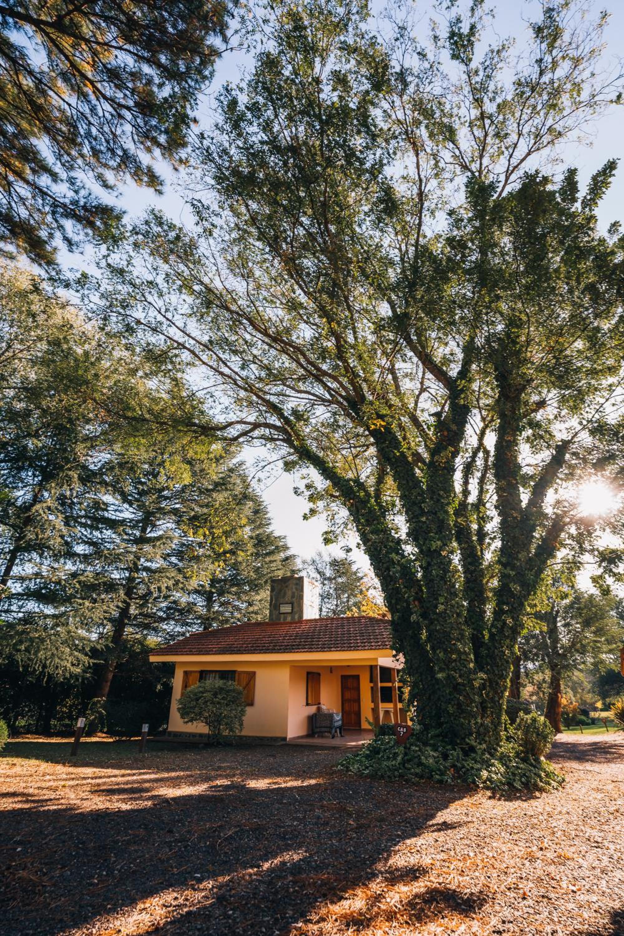 Cabañas Steinhaus