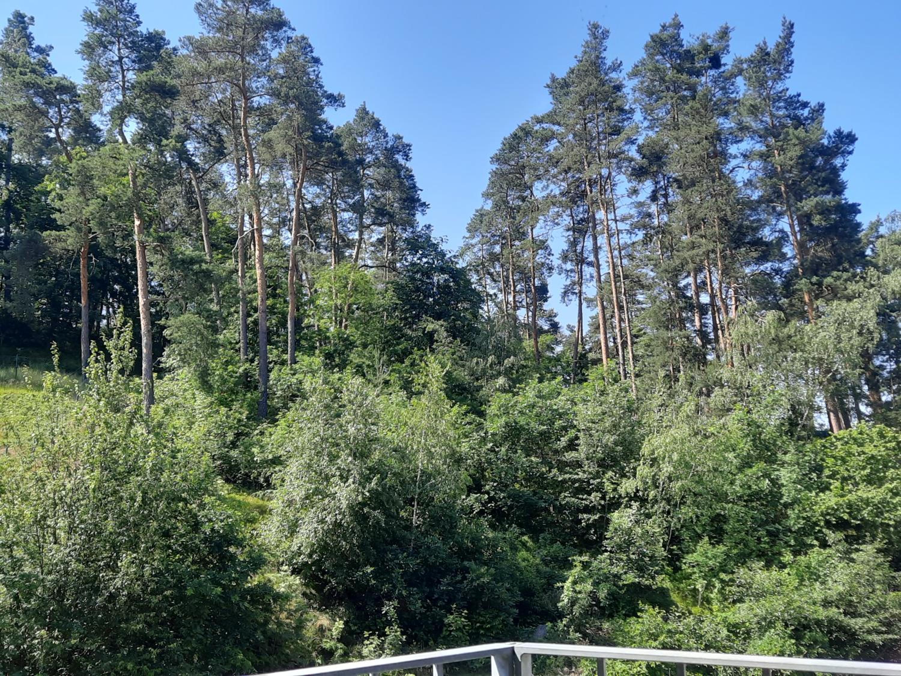 Pod hrází & Sedmé nebe