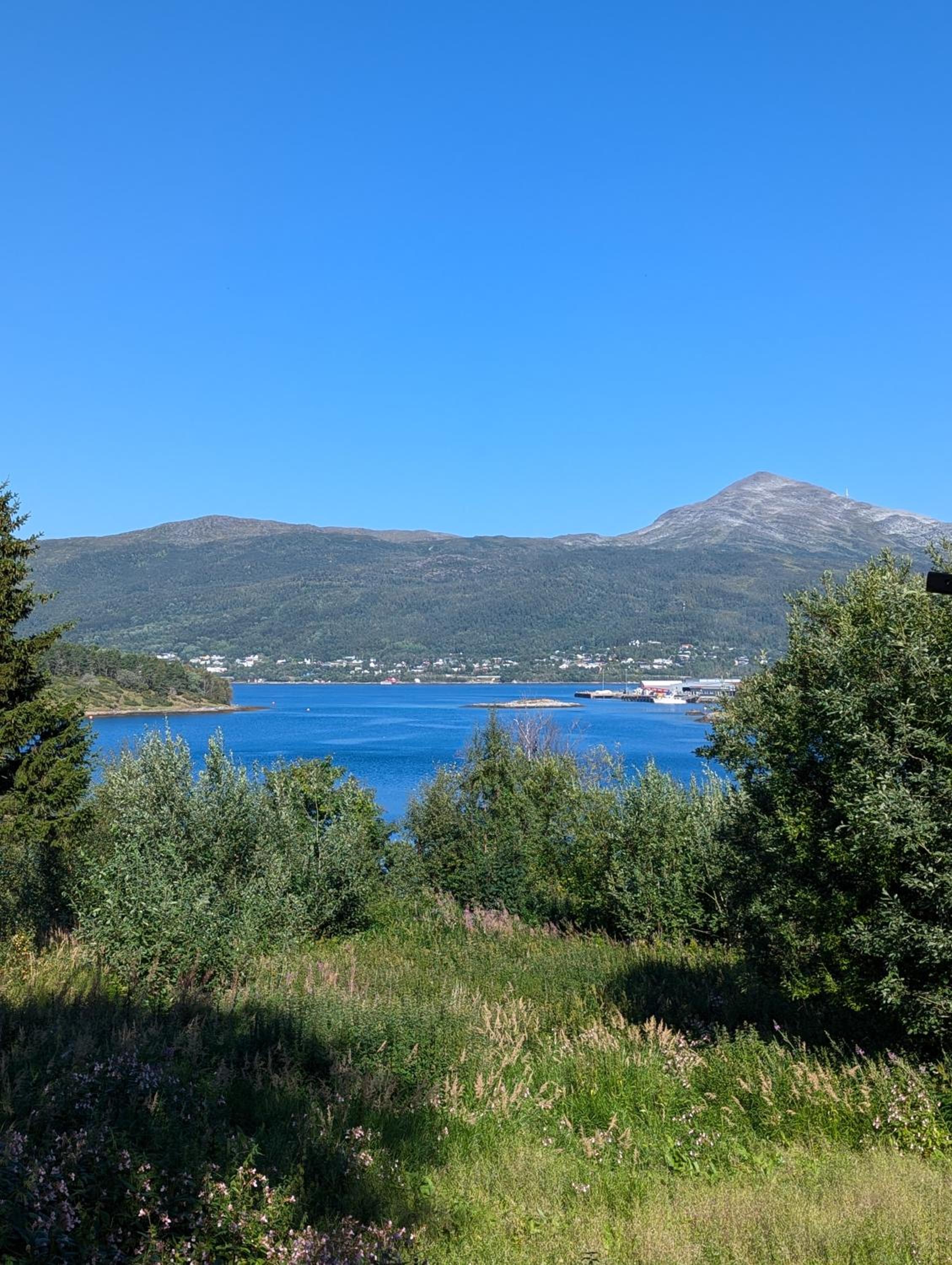 Senja - Charming cottage by the sea with terrace and fantastic view