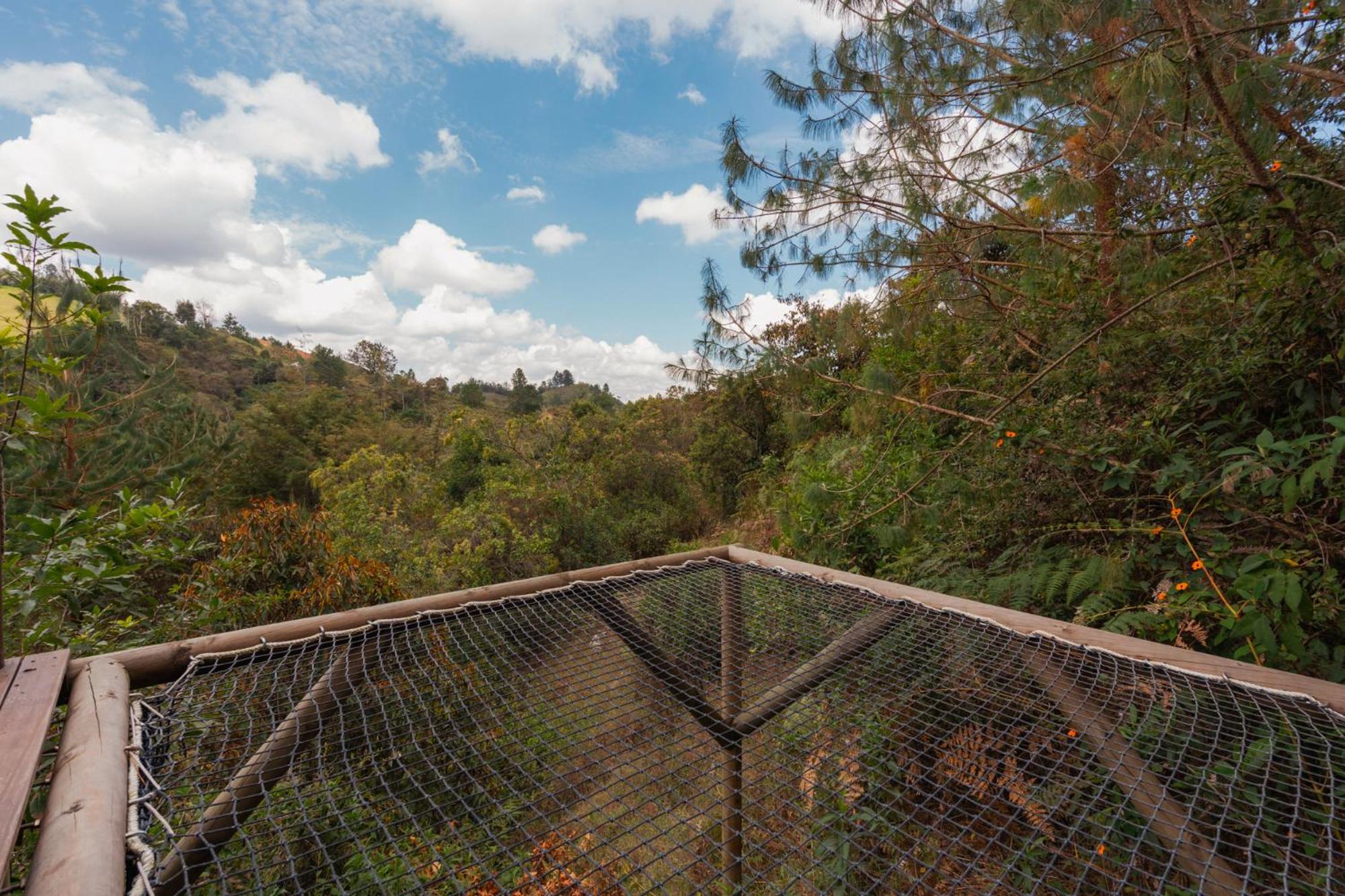 BubbleSky Glamping 40 min from Medellin - Property Image 38