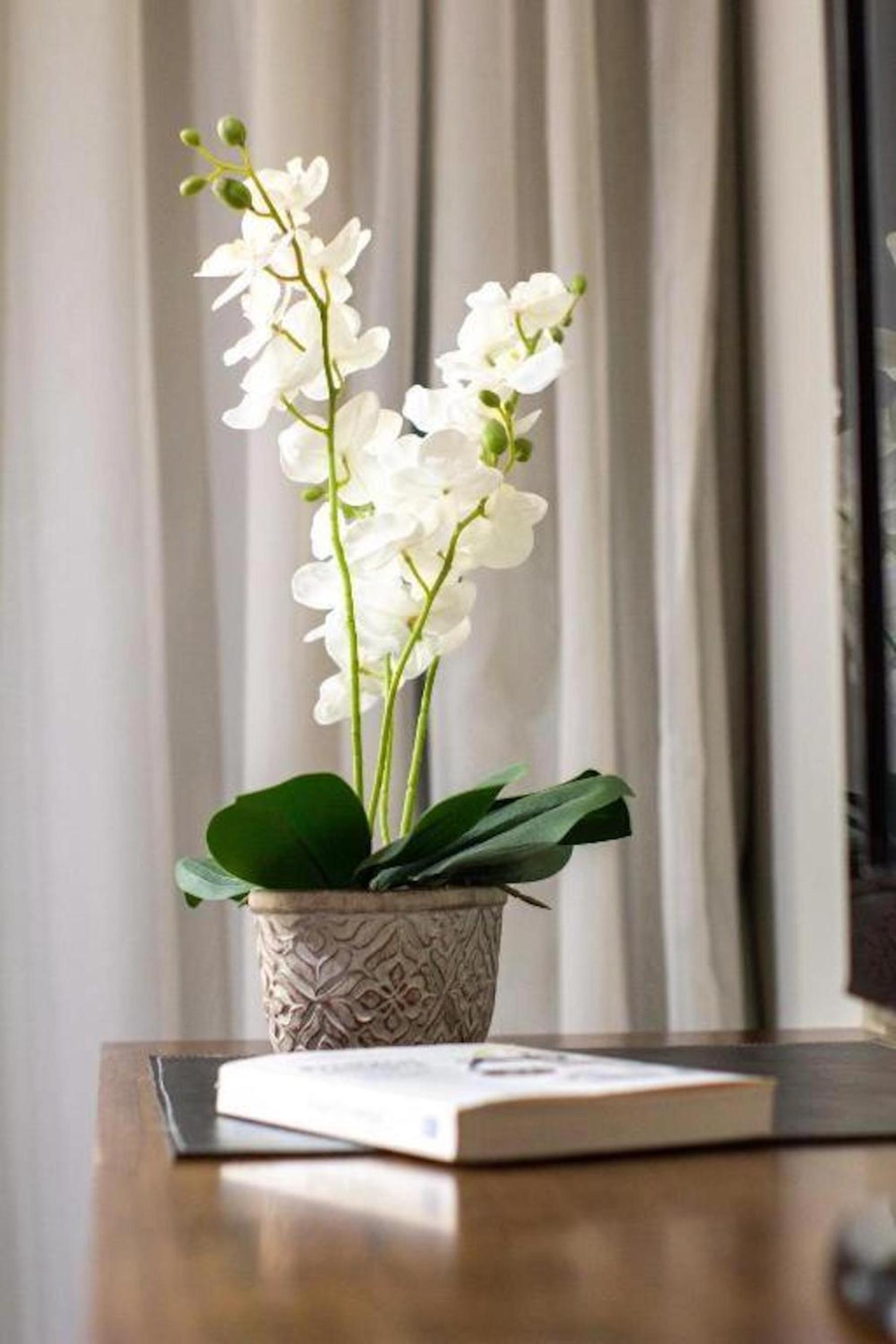 Modern and Cozy Studio en Palermo Soho - T211