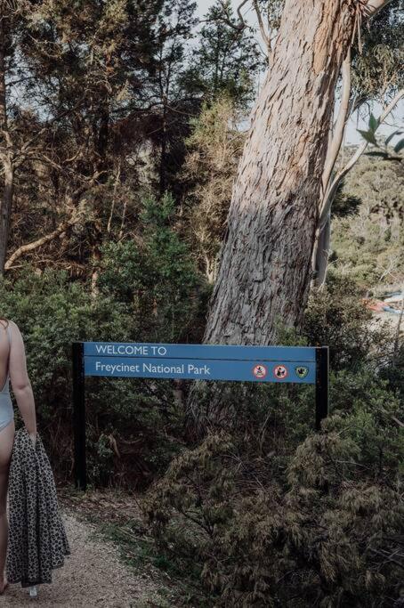 Sentinel at Freycinet