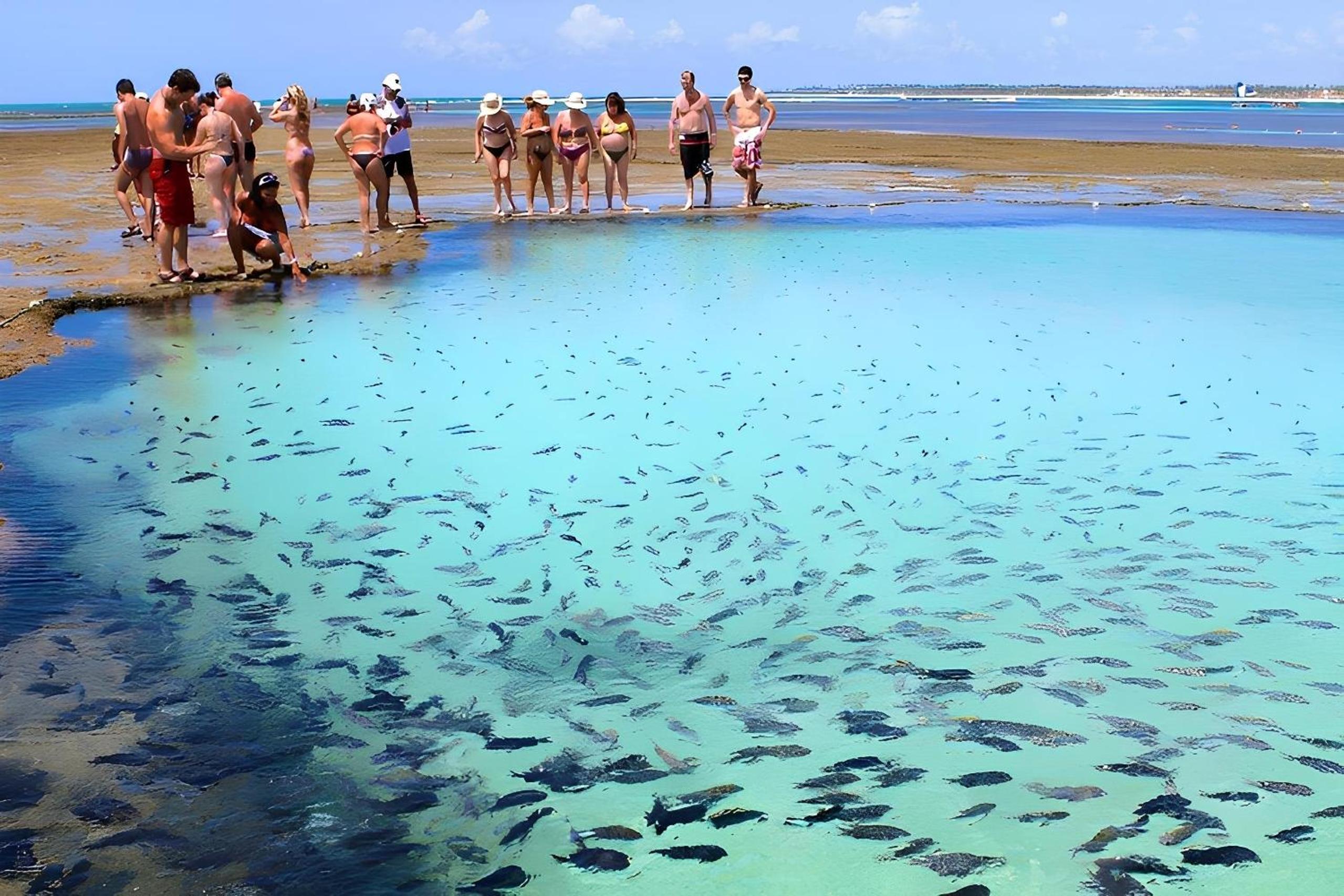 Flat Porto Blue 103 - Centro Porto de Galinhas