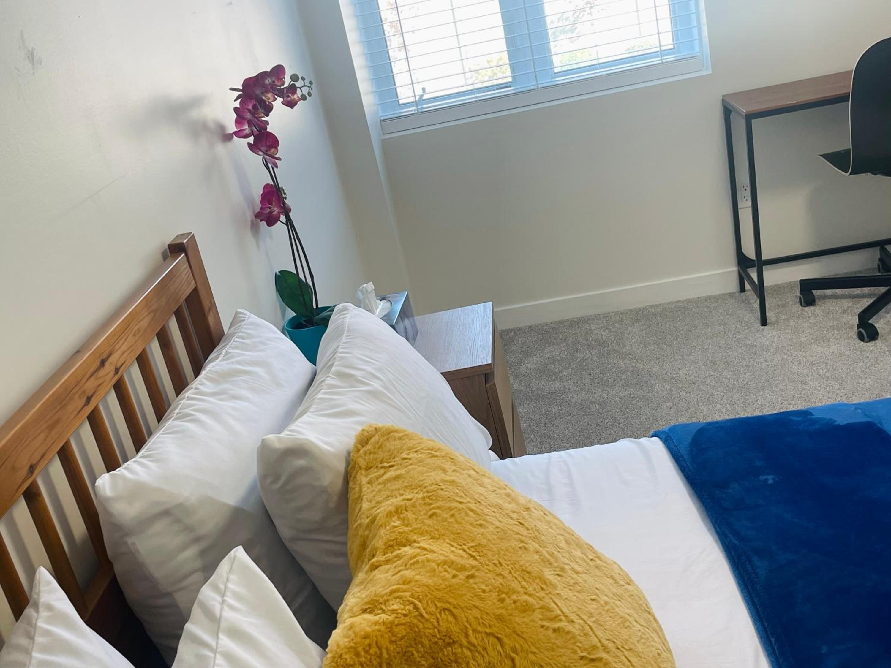 New Cosy bright and Spacious Apartment