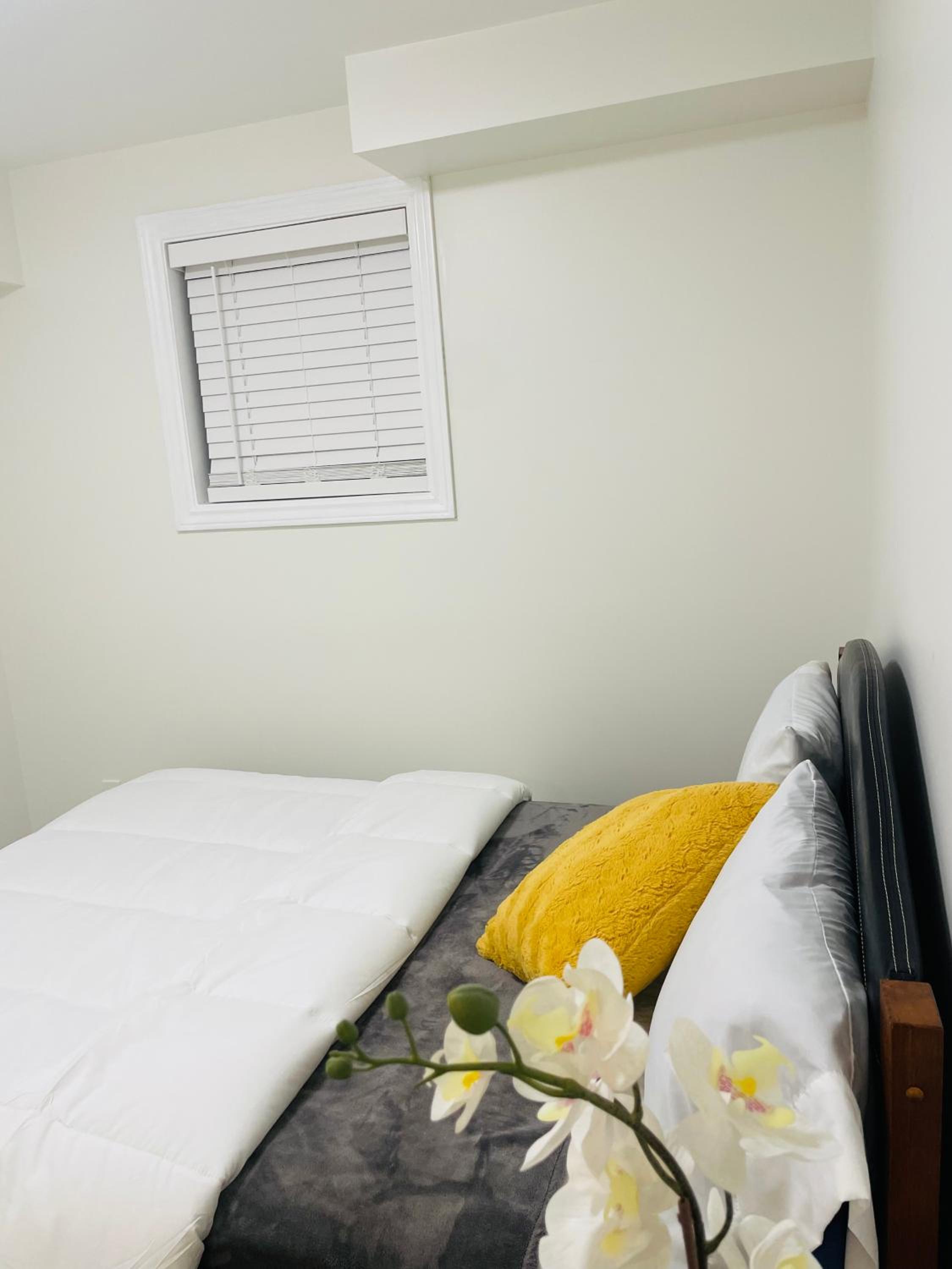 New Cosy bright and Spacious Apartment