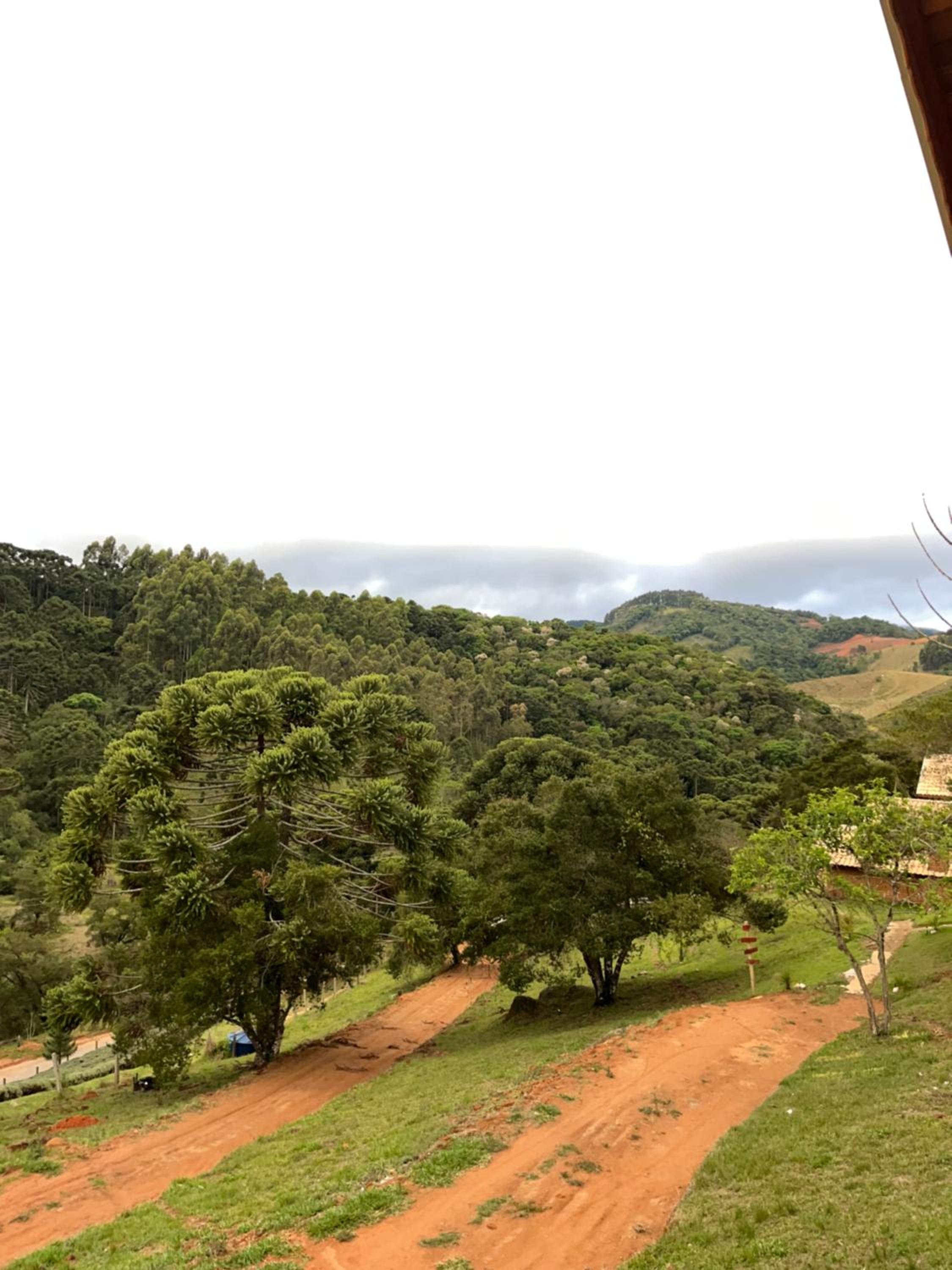 Chalés Pinheiros da Mantiqueira