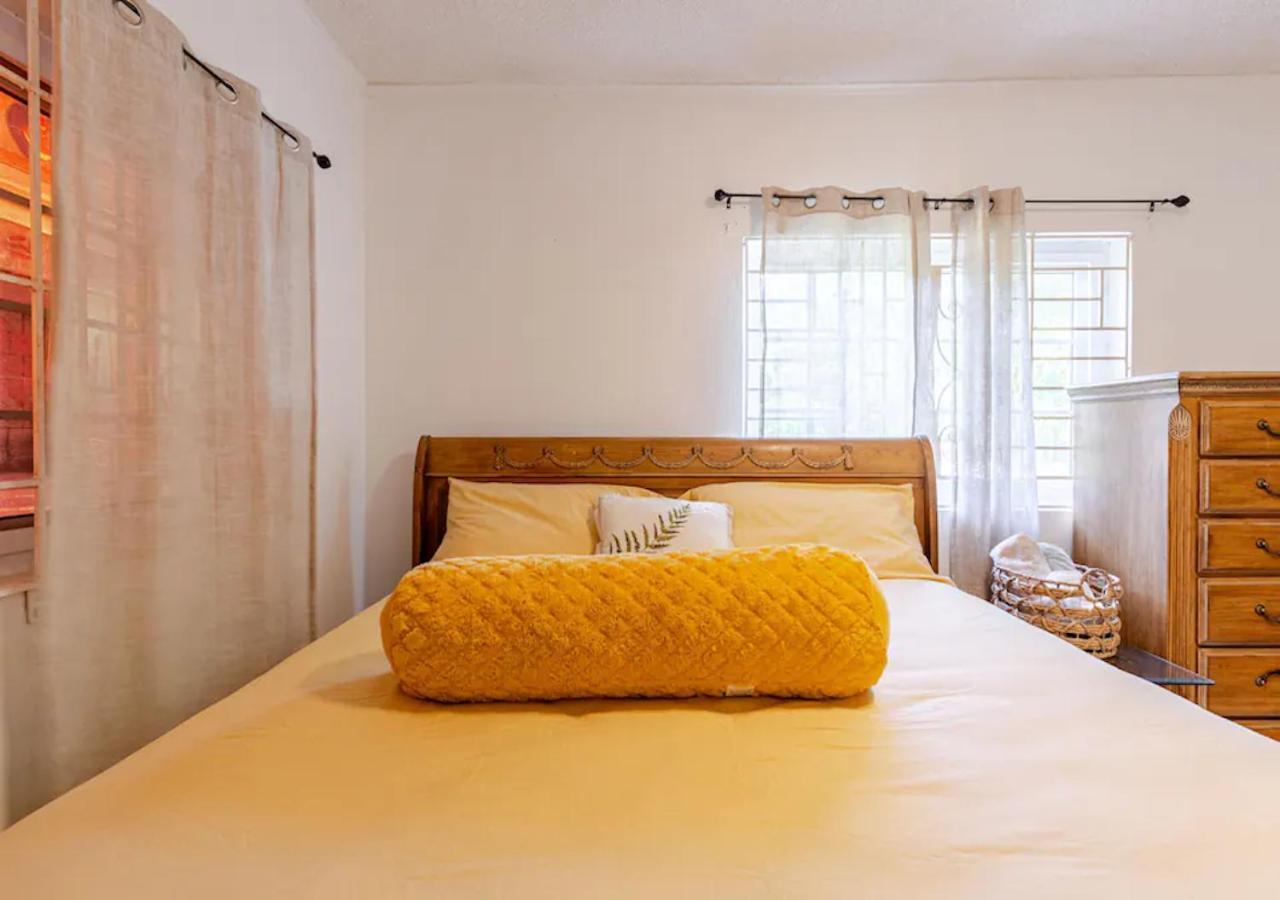 Hotel Eco Friendly Oasis Near Beaches and Waterfalls - Image 1