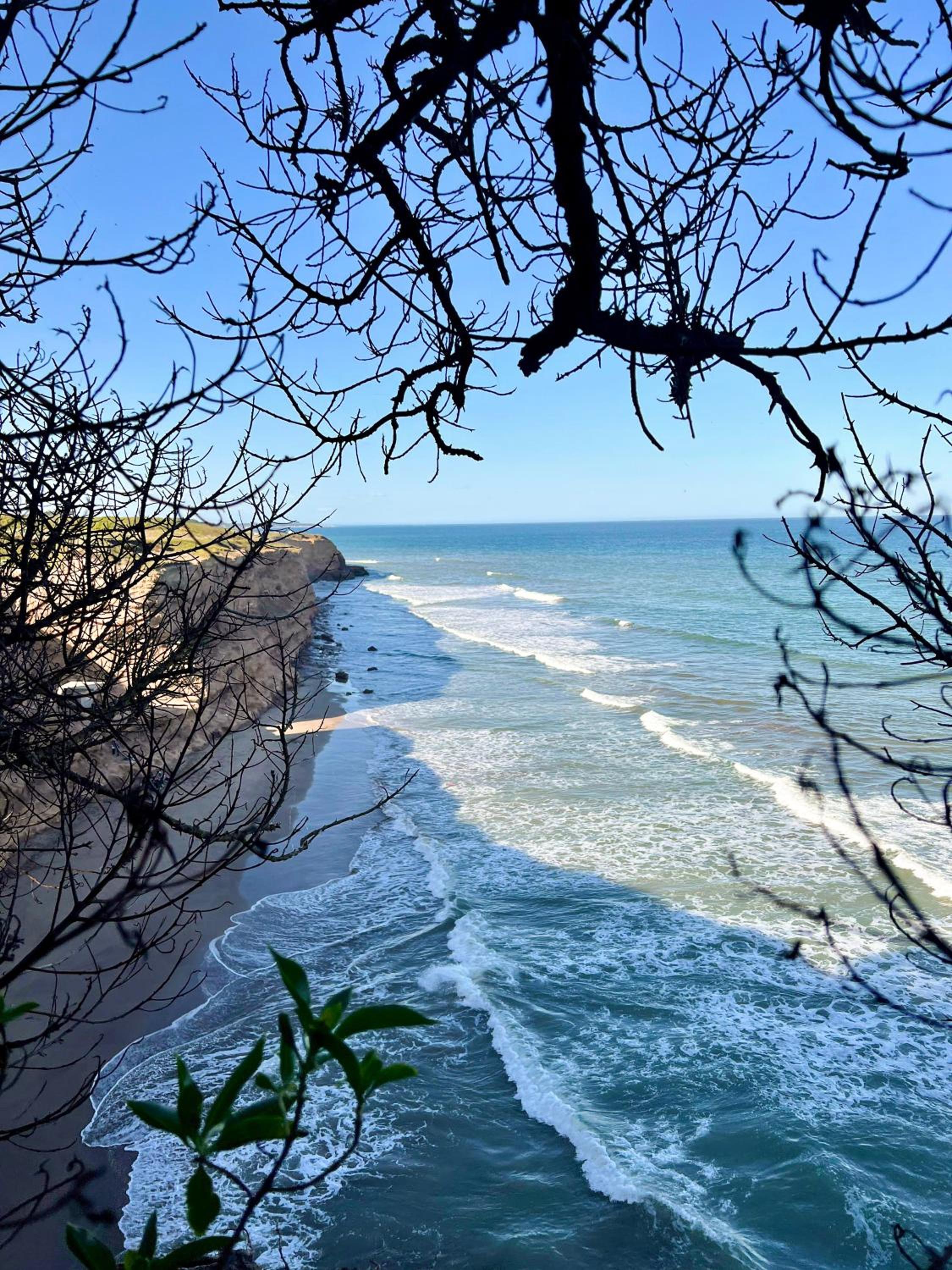 Rincon de Lobos