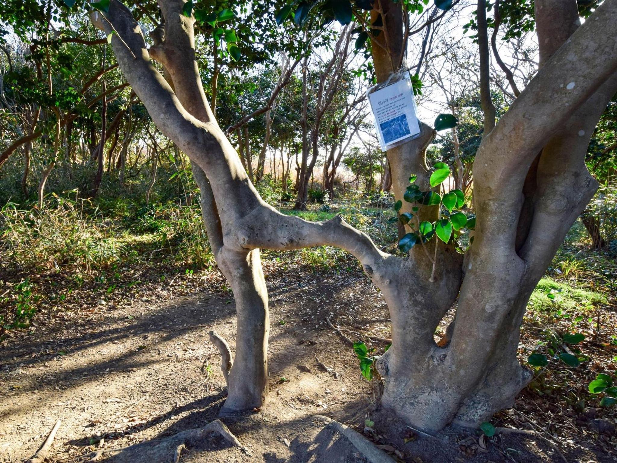 Photo 35