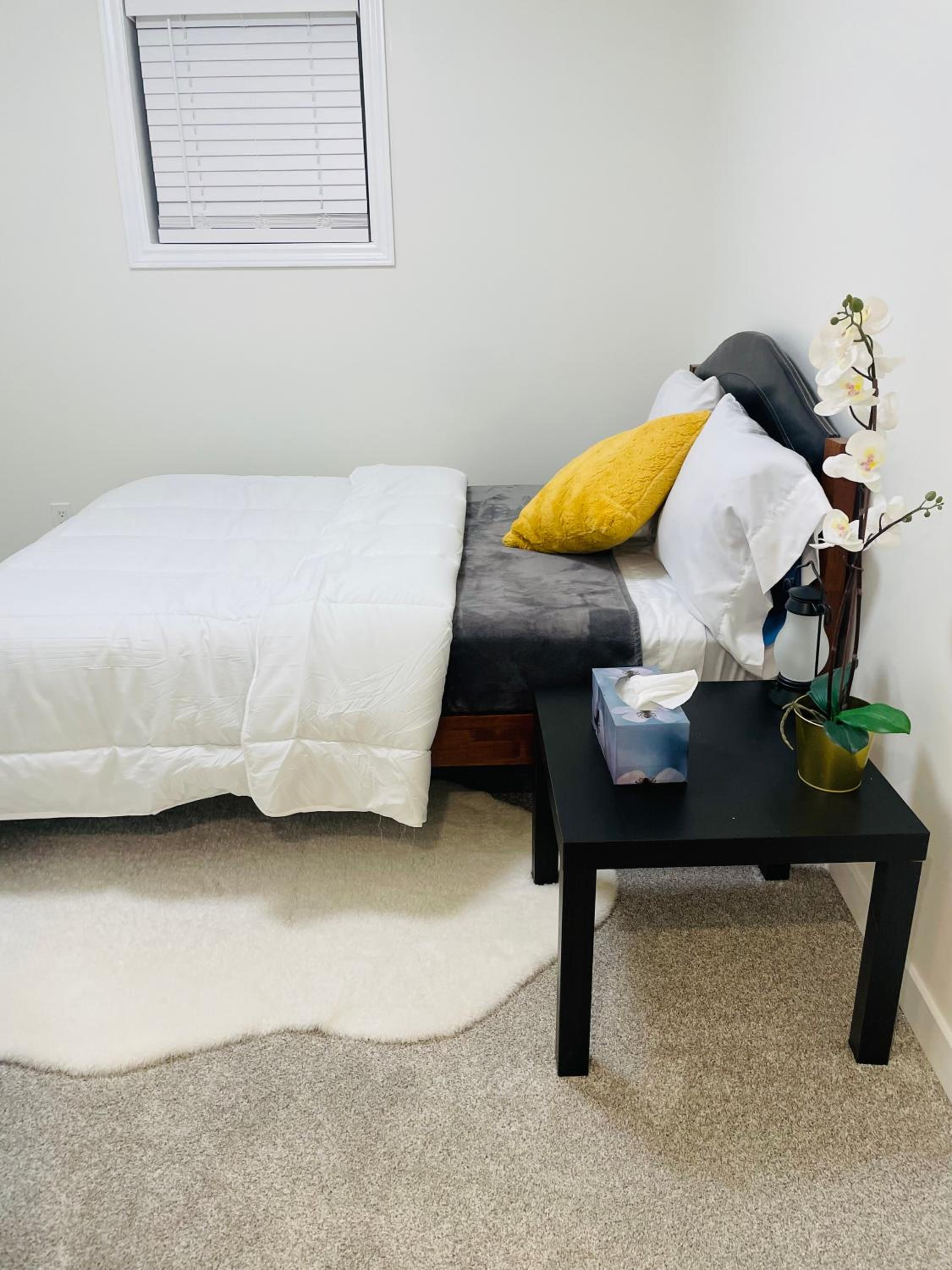 New Cosy bright and Spacious Apartment