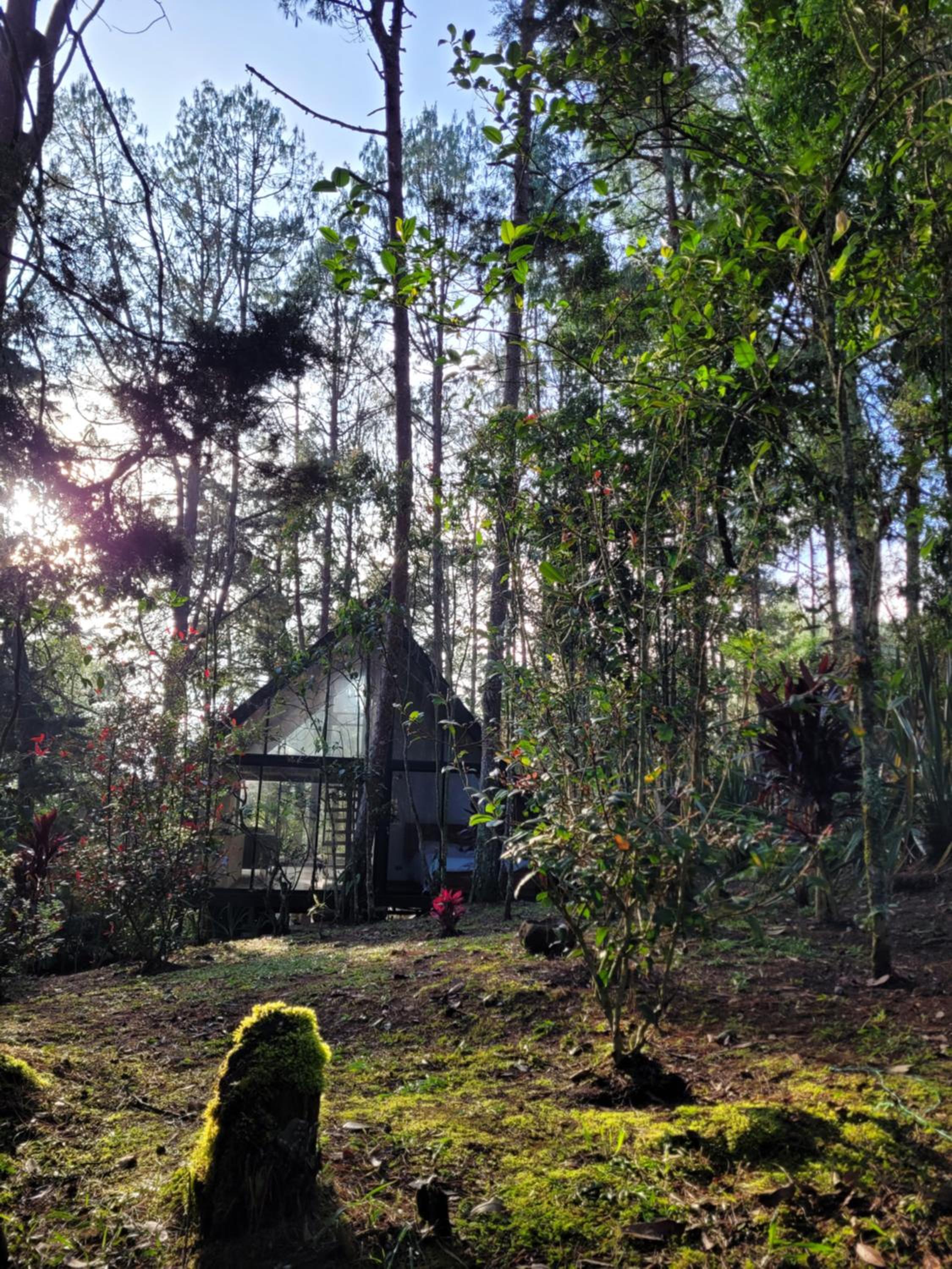 Cabaña Onix - La Pascana Ecolodge