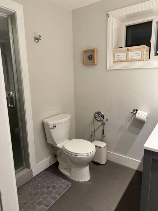 Big Charming 1-bedroom Apartment