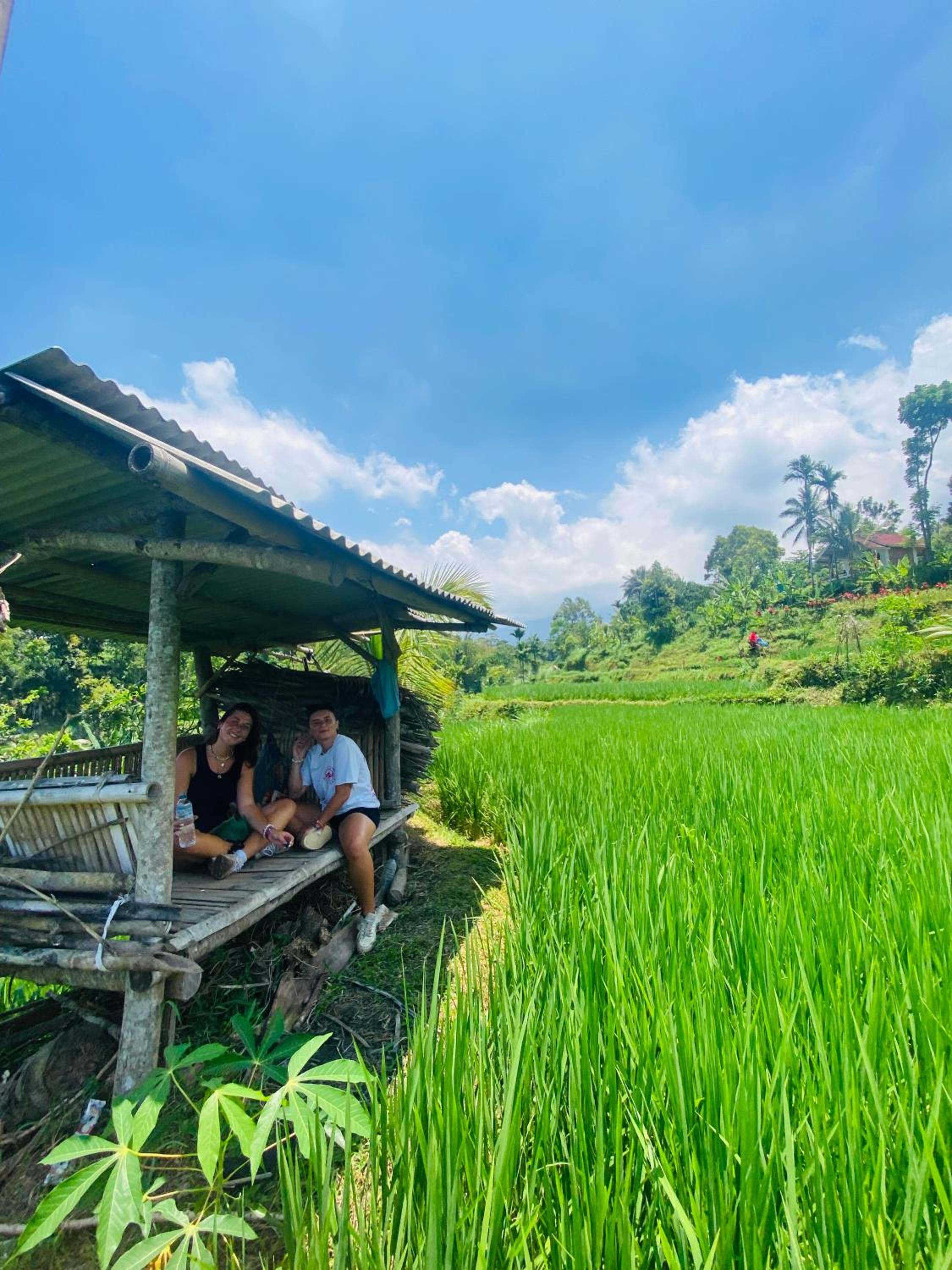 Heaven Glamping & Restaurant Tetebatu view 2