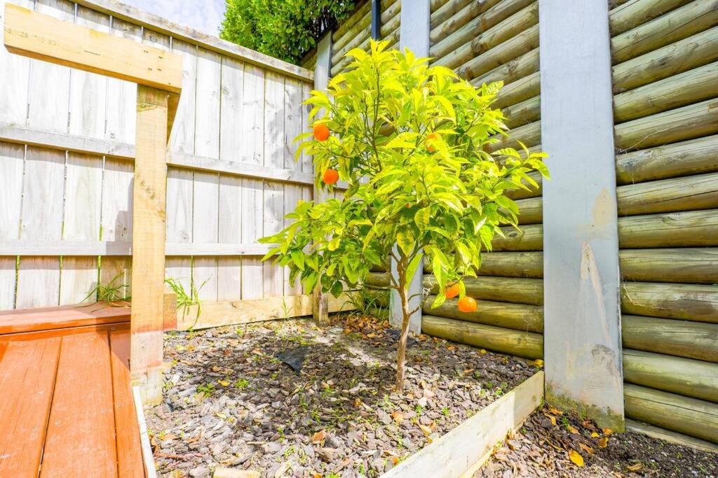 Your Holiday Retreat in Long Bay