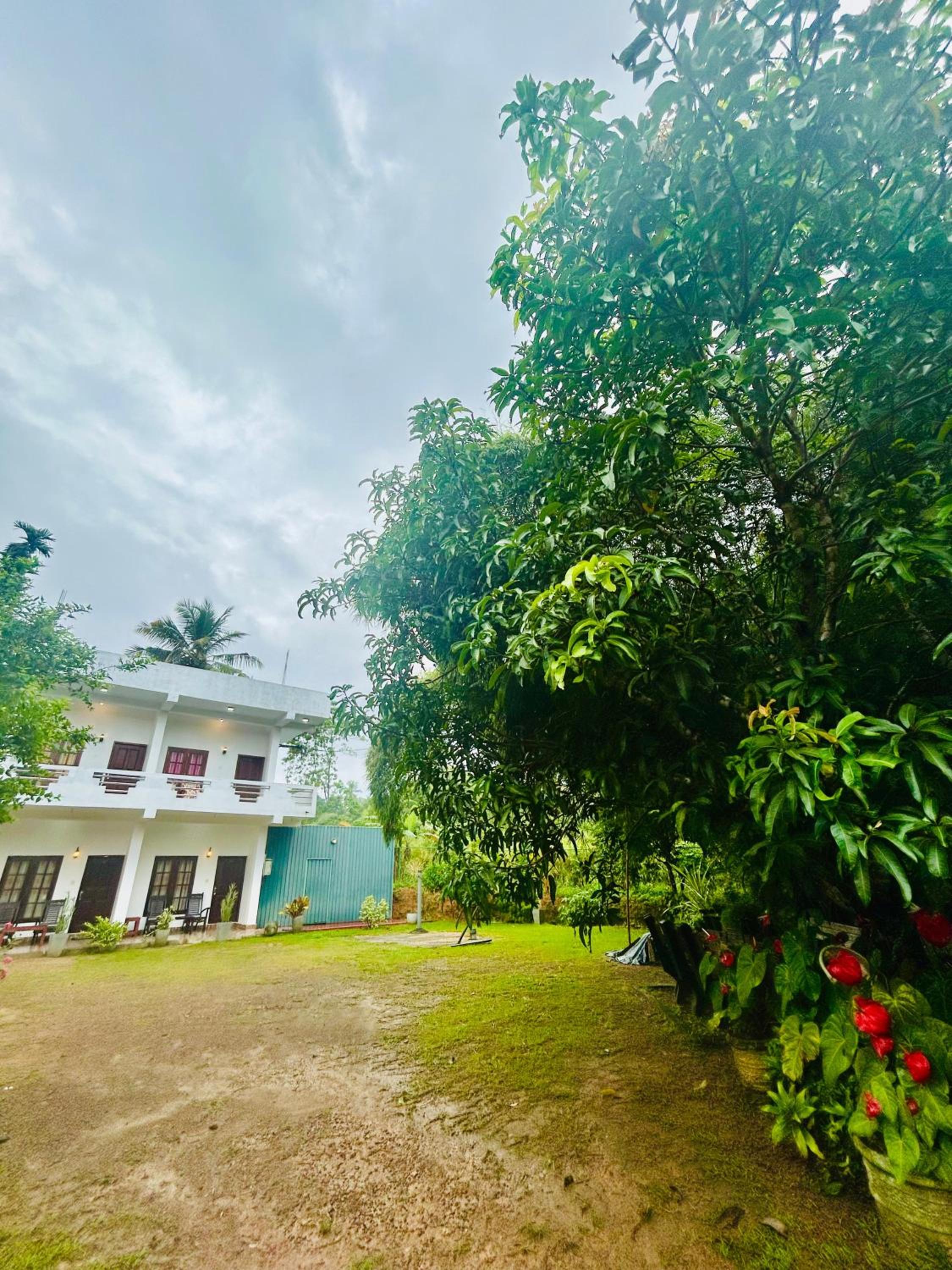 Shadow Homestay
