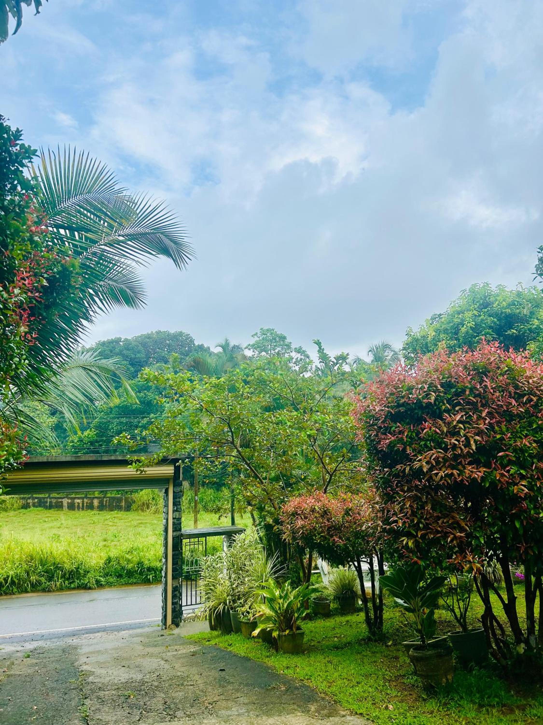 Shadow Homestay