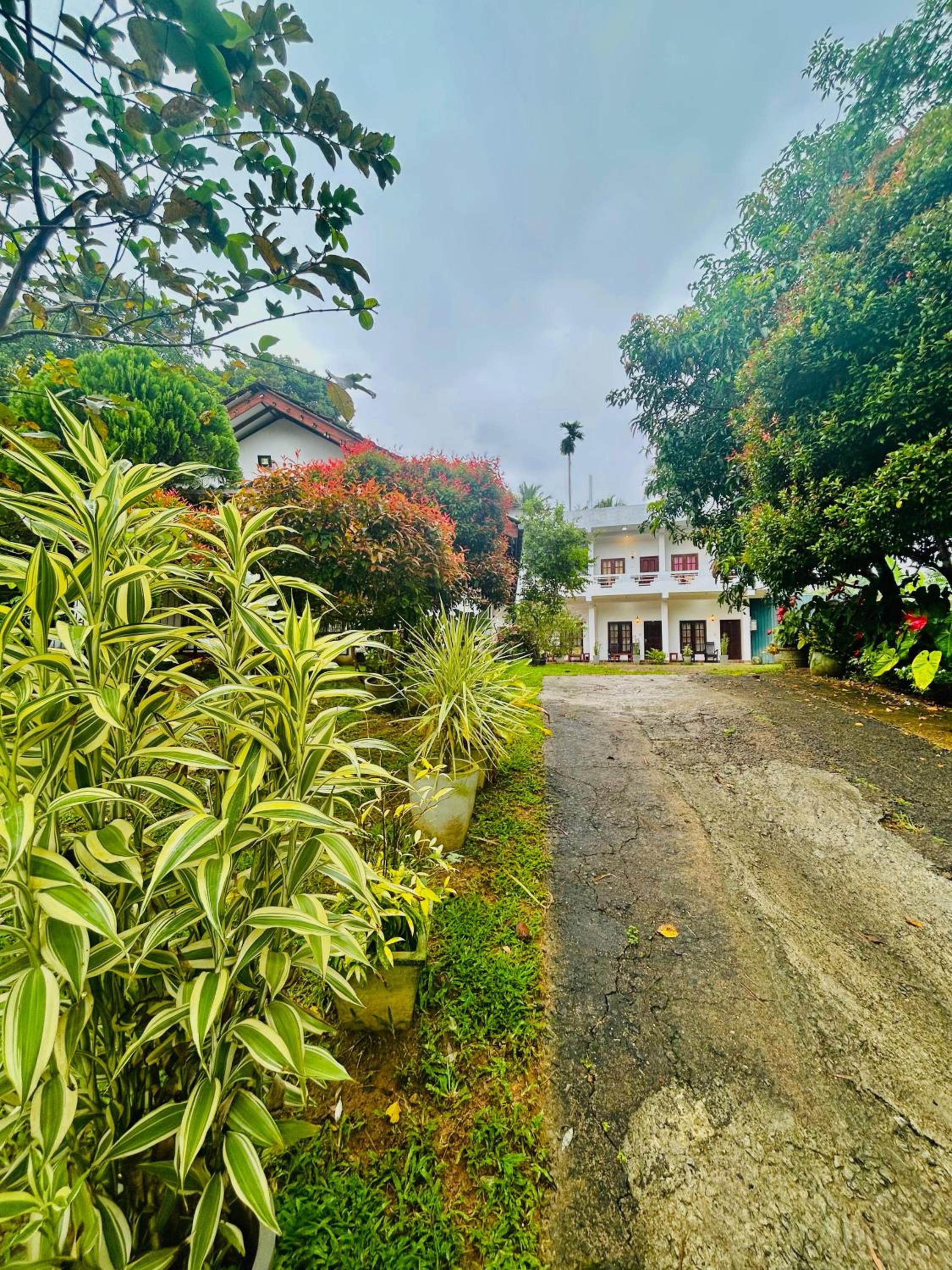 Shadow Homestay