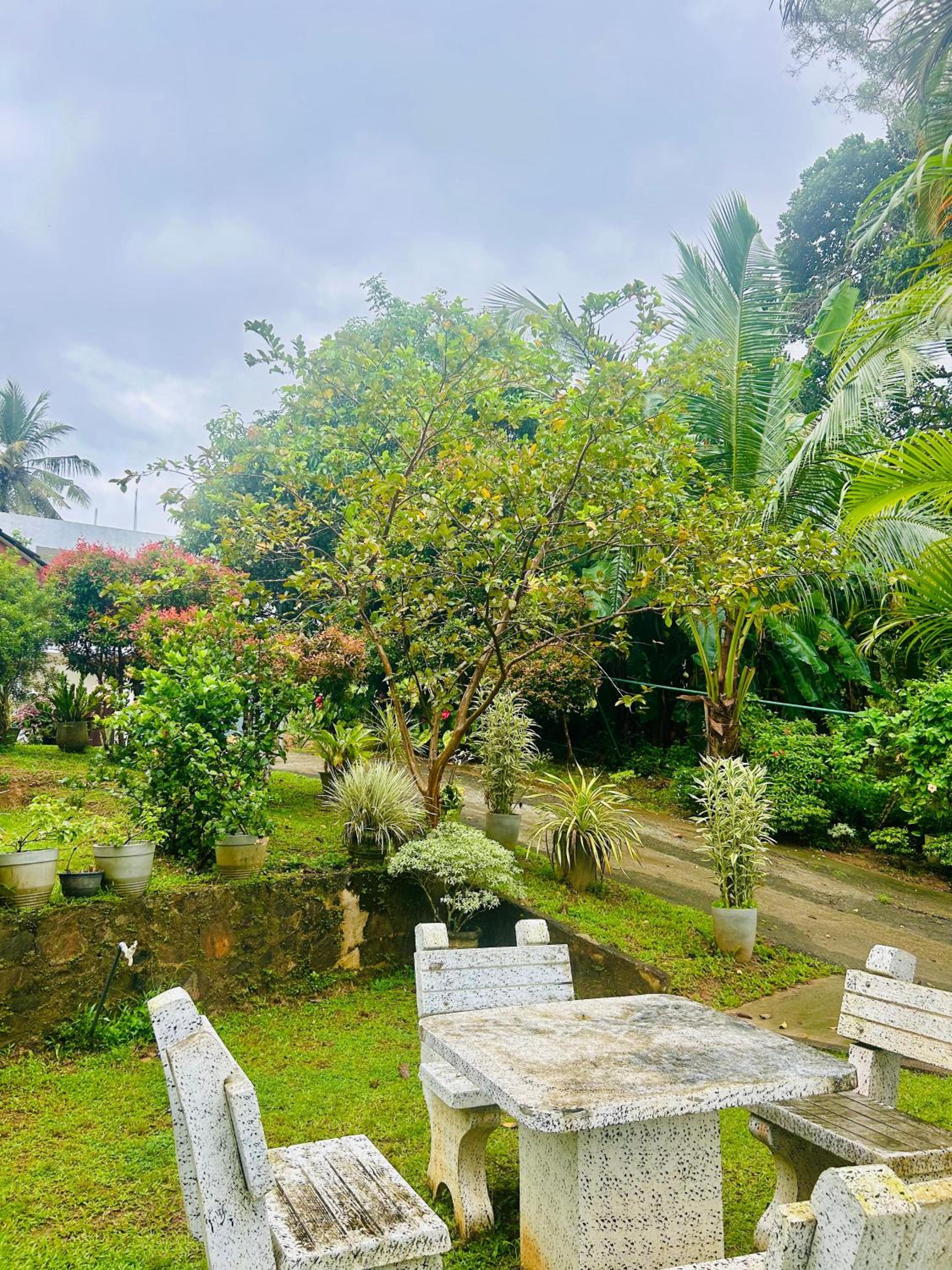 Shadow Homestay