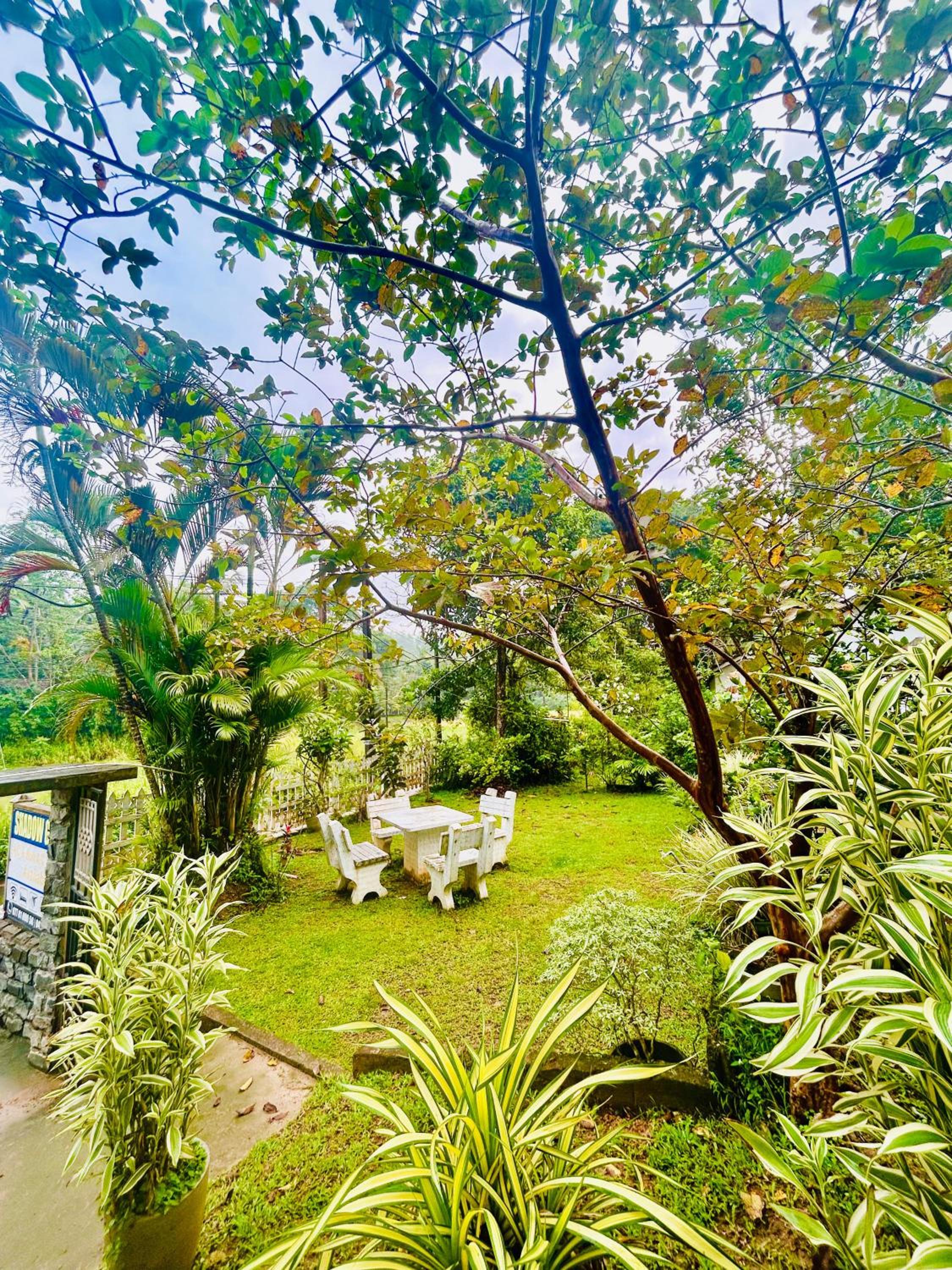 Shadow Homestay