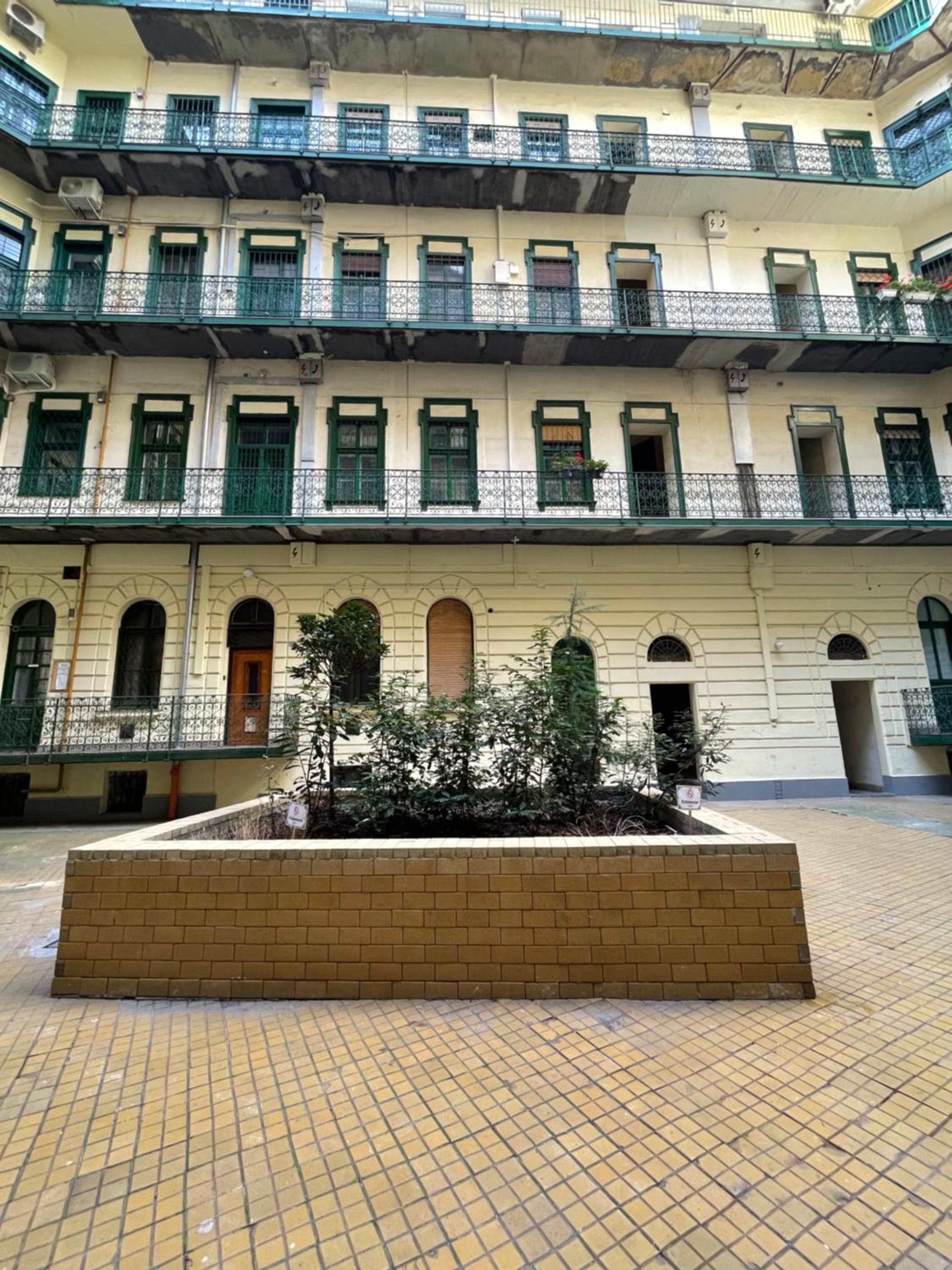 Photo 31