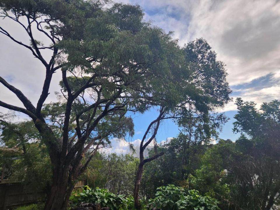 Mt Eden Kingsland At the heart of it all view 3