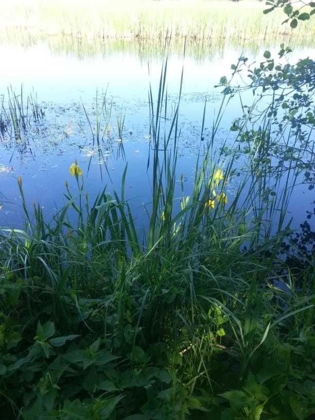 Ferienwohnungen am Malchiner See