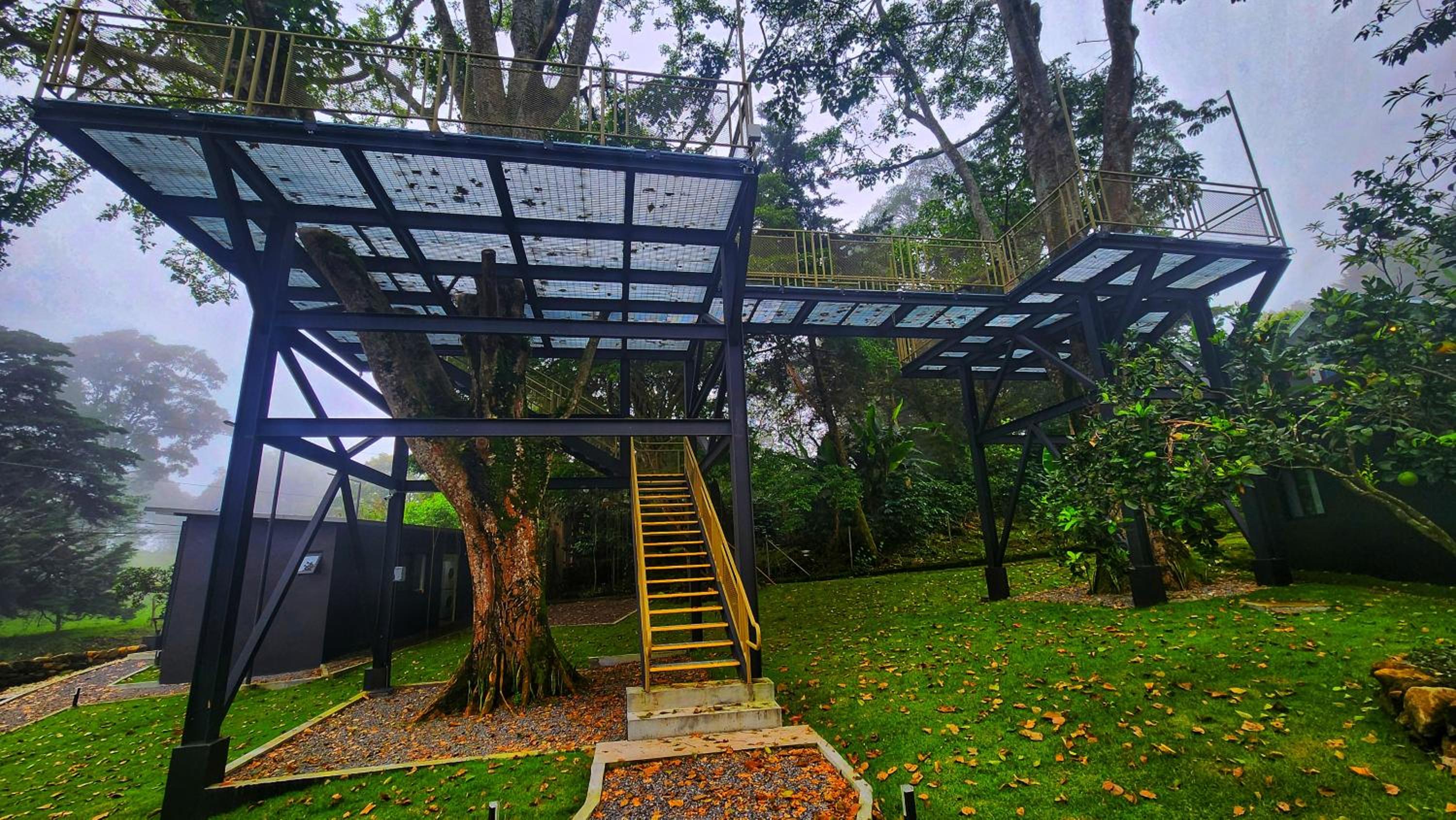 Cabaña V Moderna y Memorable Corotú Garden, photo 19
