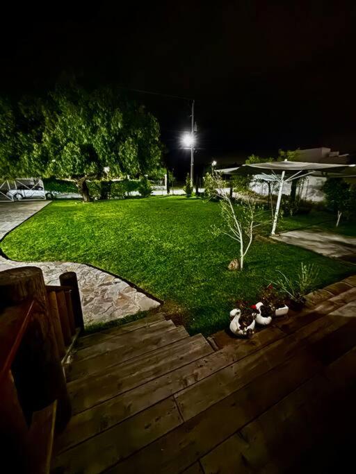 Photo 35