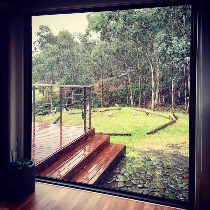 Architecturally Designed Rural Retreat 3 bedroom HOUSE or 1 bedroom CABIN with more than 150 five stars rating