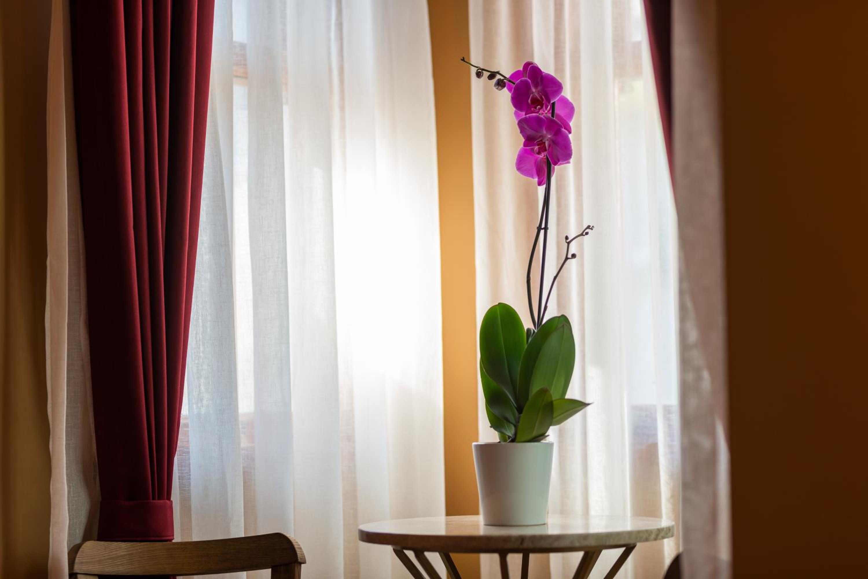 Wonder Wood Otel - Image 73