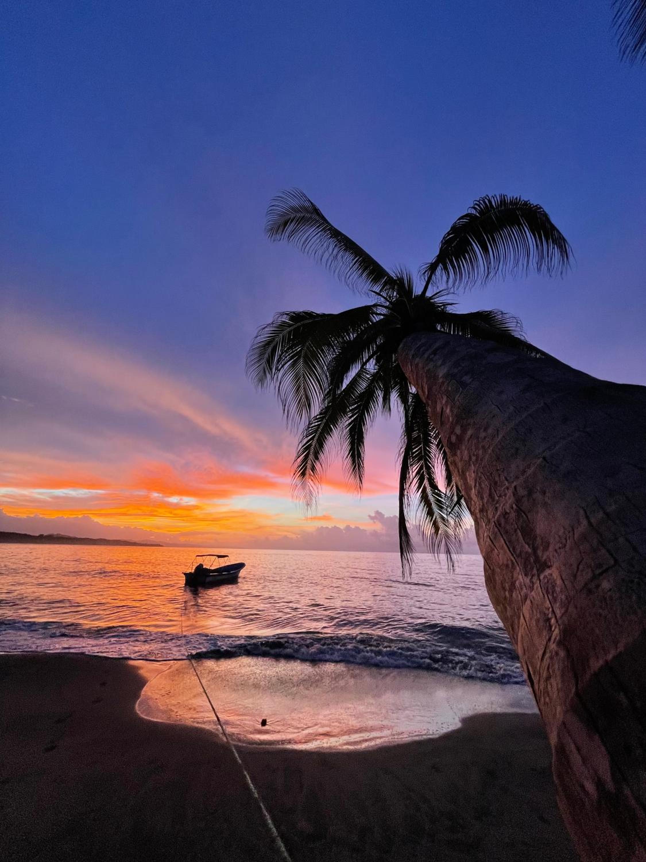 Pangea Lodge with Shared Pool at the Heart of Manzanillo