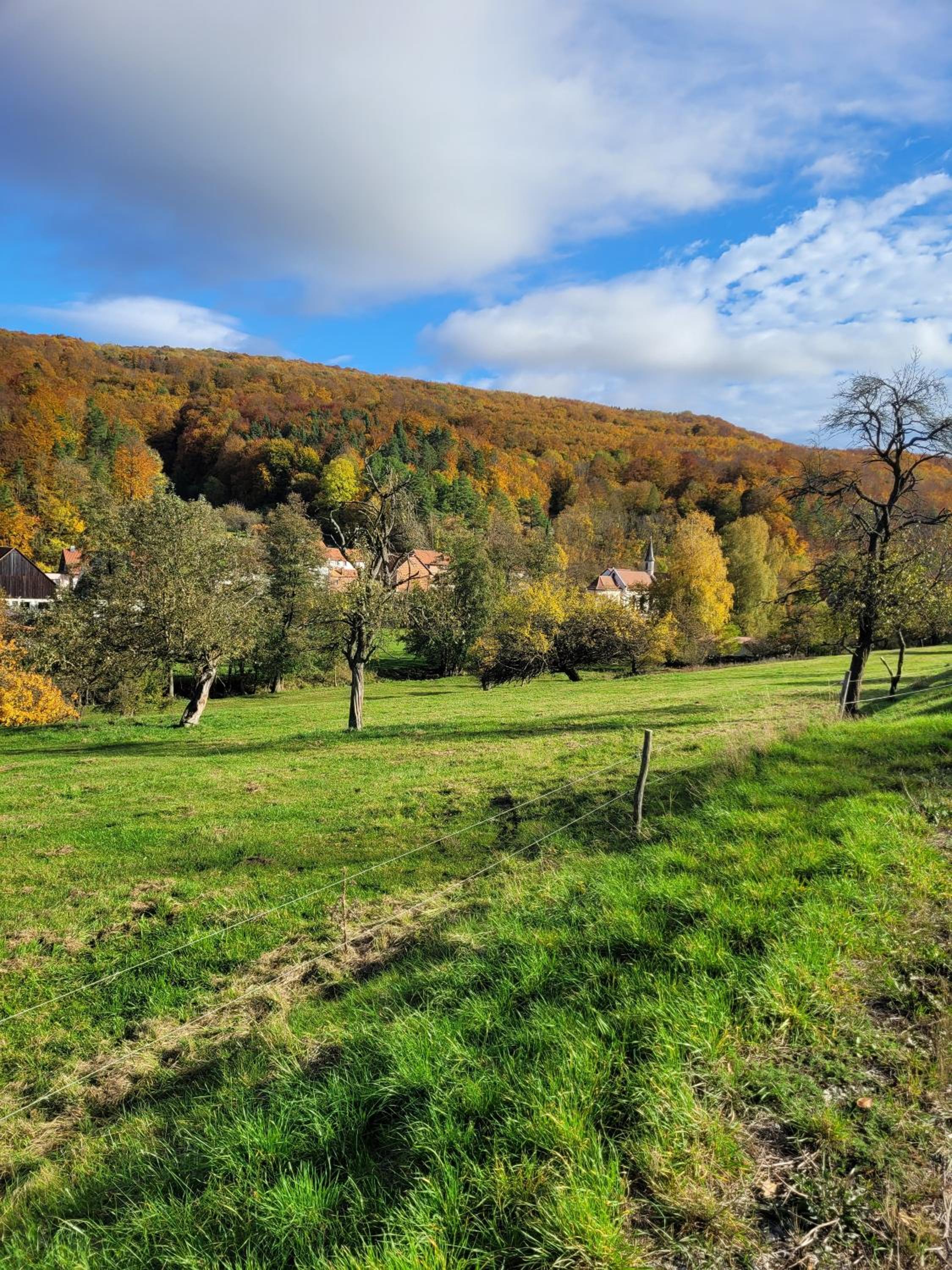 Ferienwohnung Rhön-Kutscher